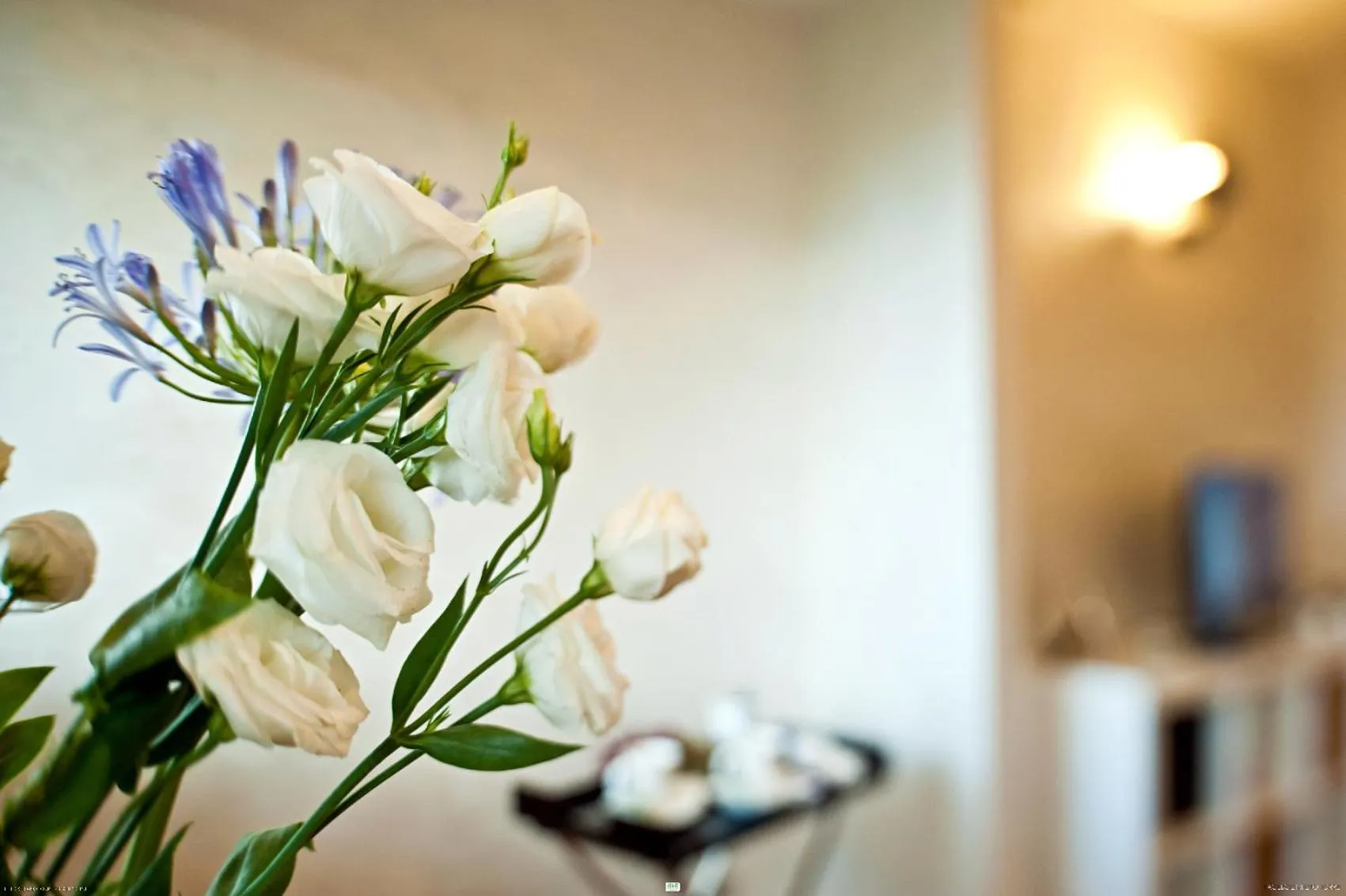 furniture in Hotel Ferro di Cavallo