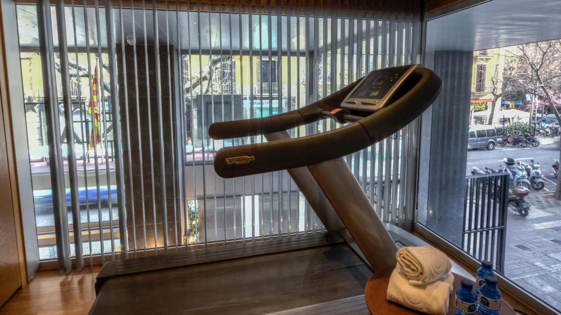 Activities in Evenia Rossello