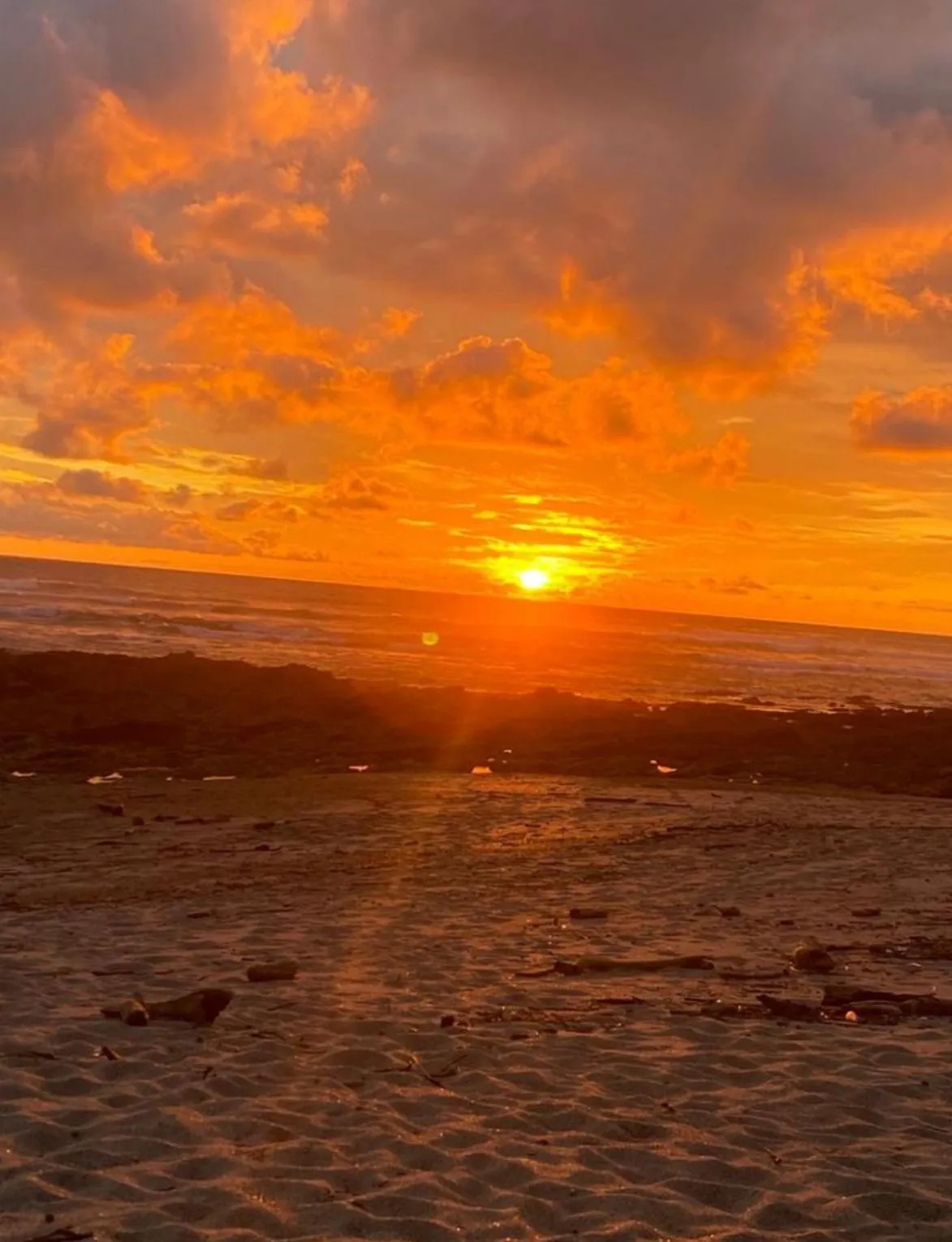 Natural landscape in Café de Playa Beach Front Hotel