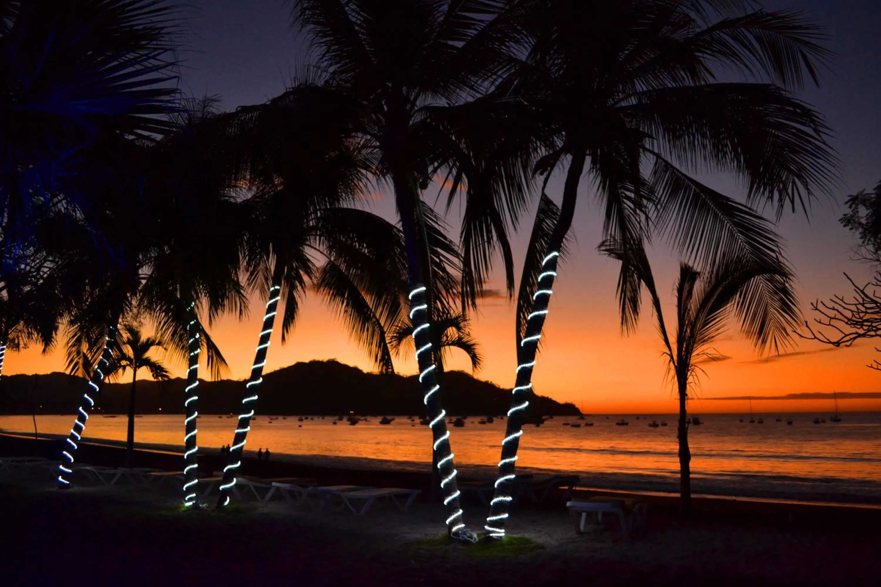 Restaurant/places to eat in Café de Playa Beach Front Hotel