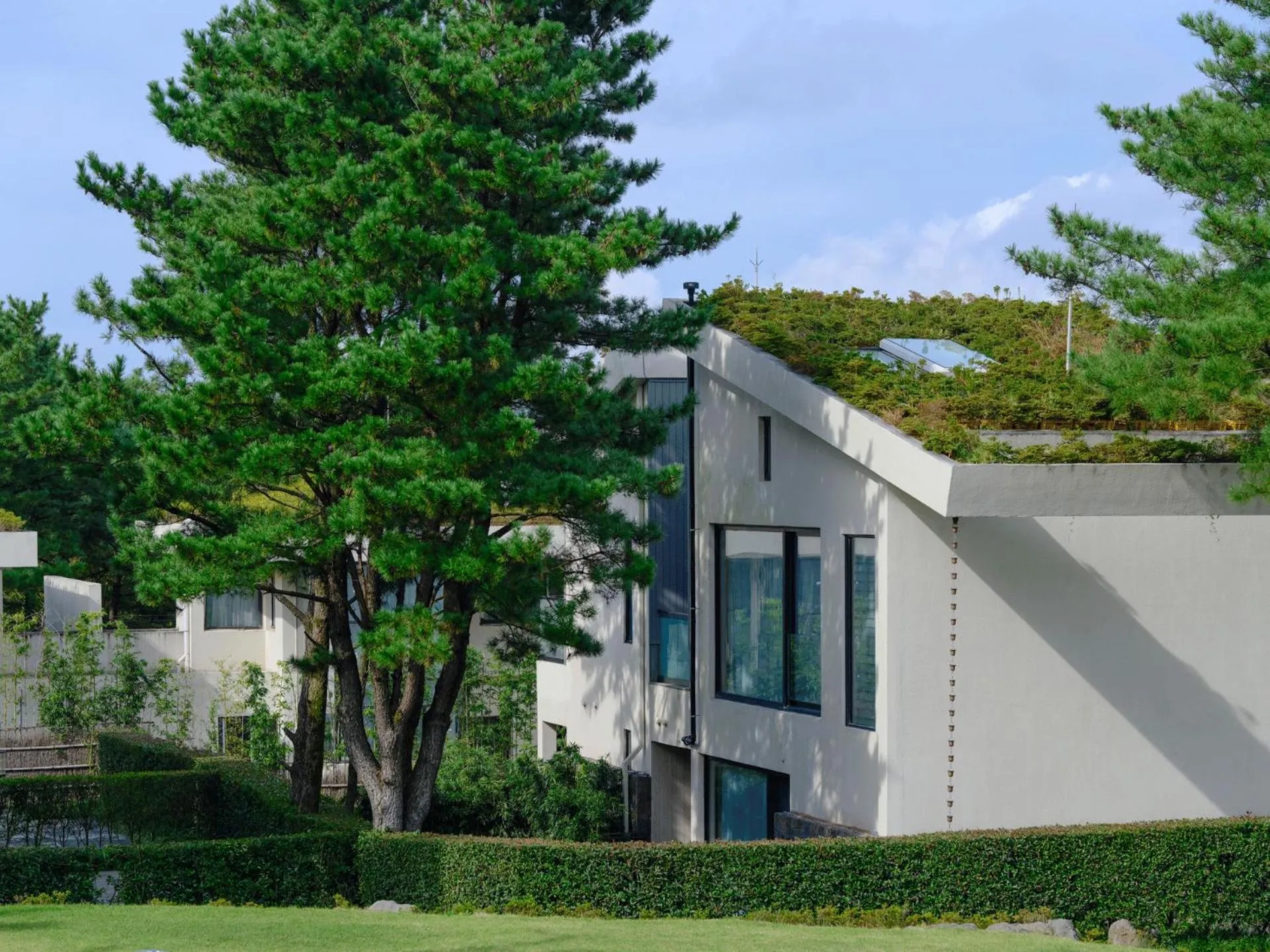 Garden in Amber Pure Hill Hotels & Resorts Jeju