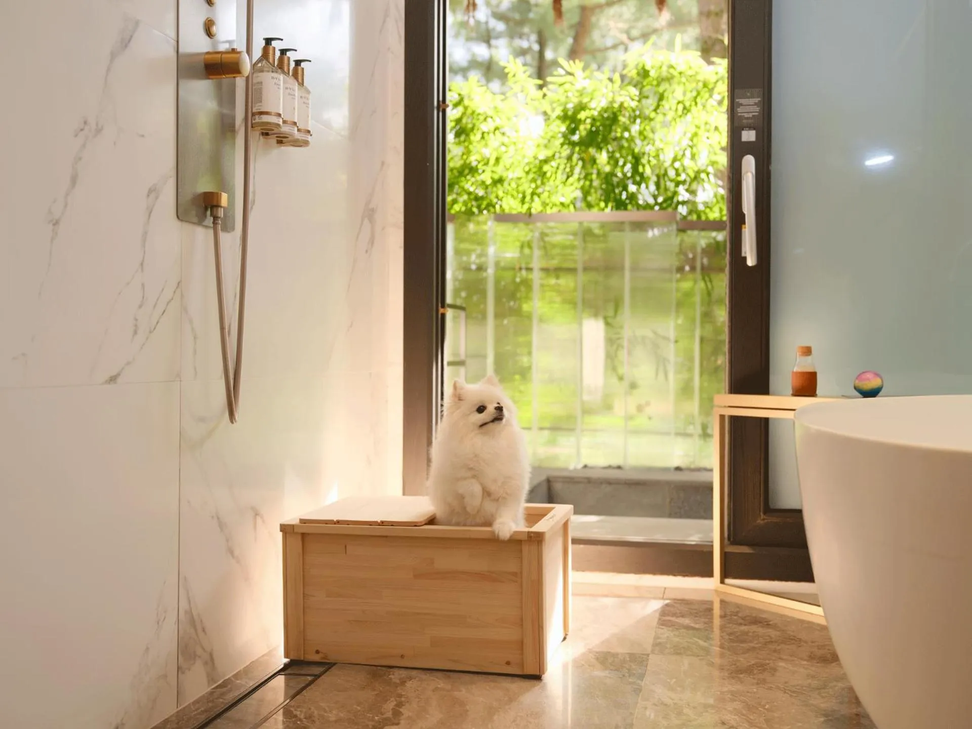Bathroom in Amber Pure Hill Hotels & Resorts Jeju