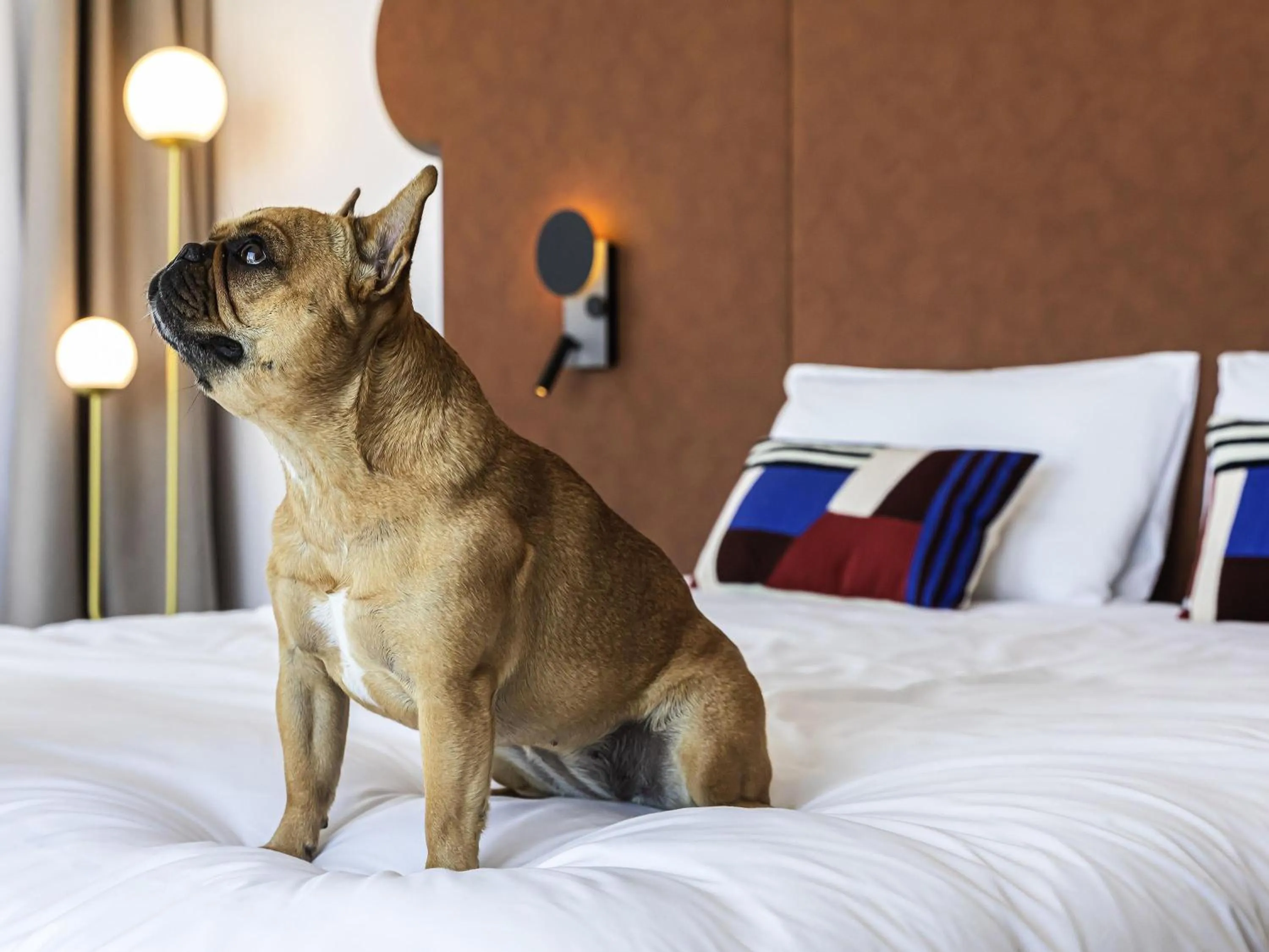 Other, Bed in Mercure Dunkerque Centre Gare