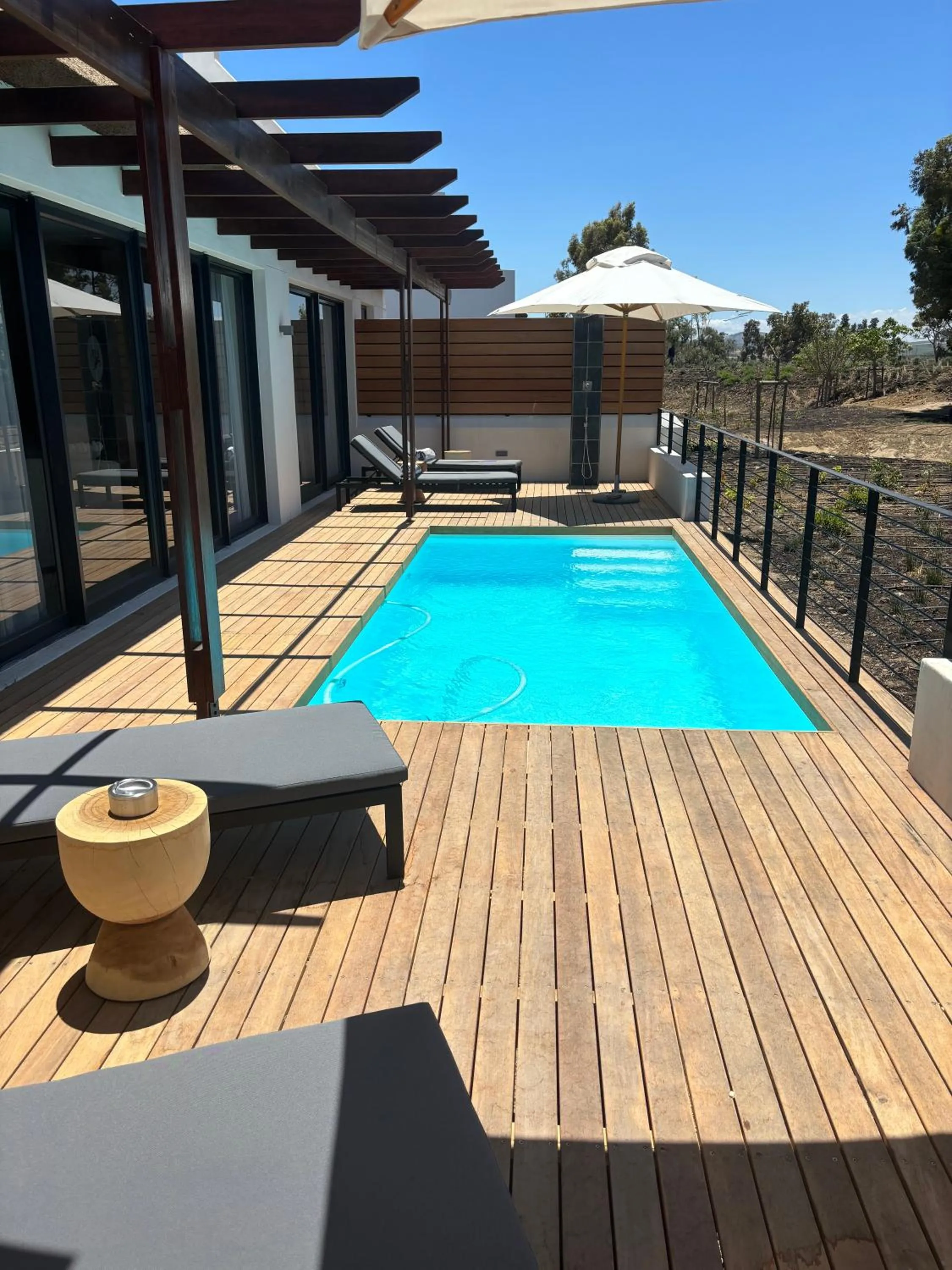 Swimming pool in Vergenoegd Löw Boutique Hotel & Spa