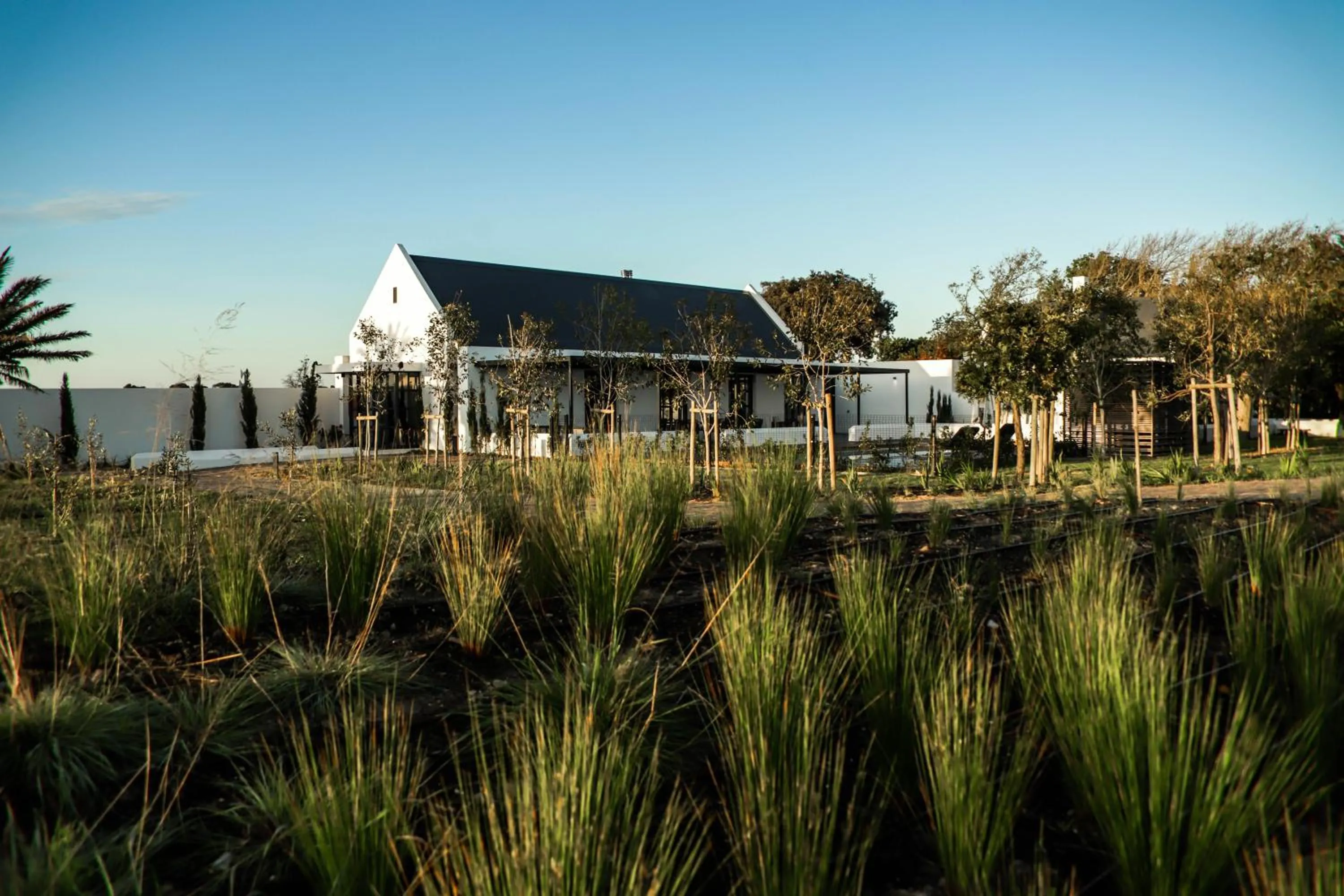 Property building in Vergenoegd Löw Boutique Hotel & Spa