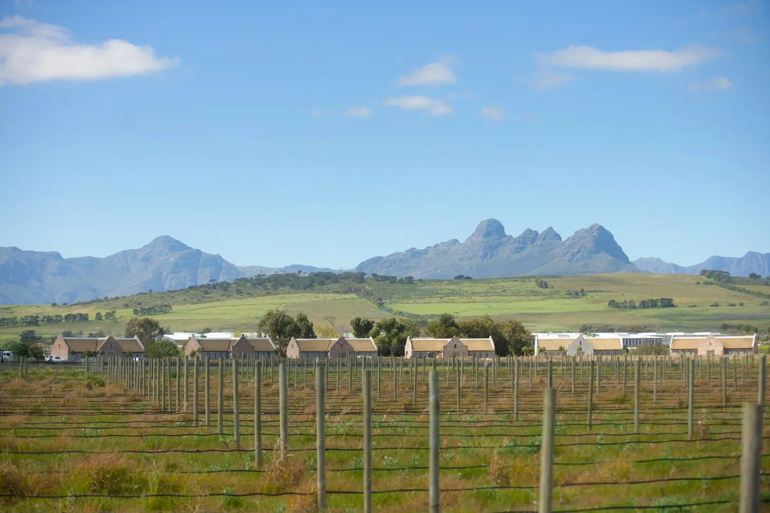 Mountain view in Vergenoegd Löw Boutique Hotel & Spa