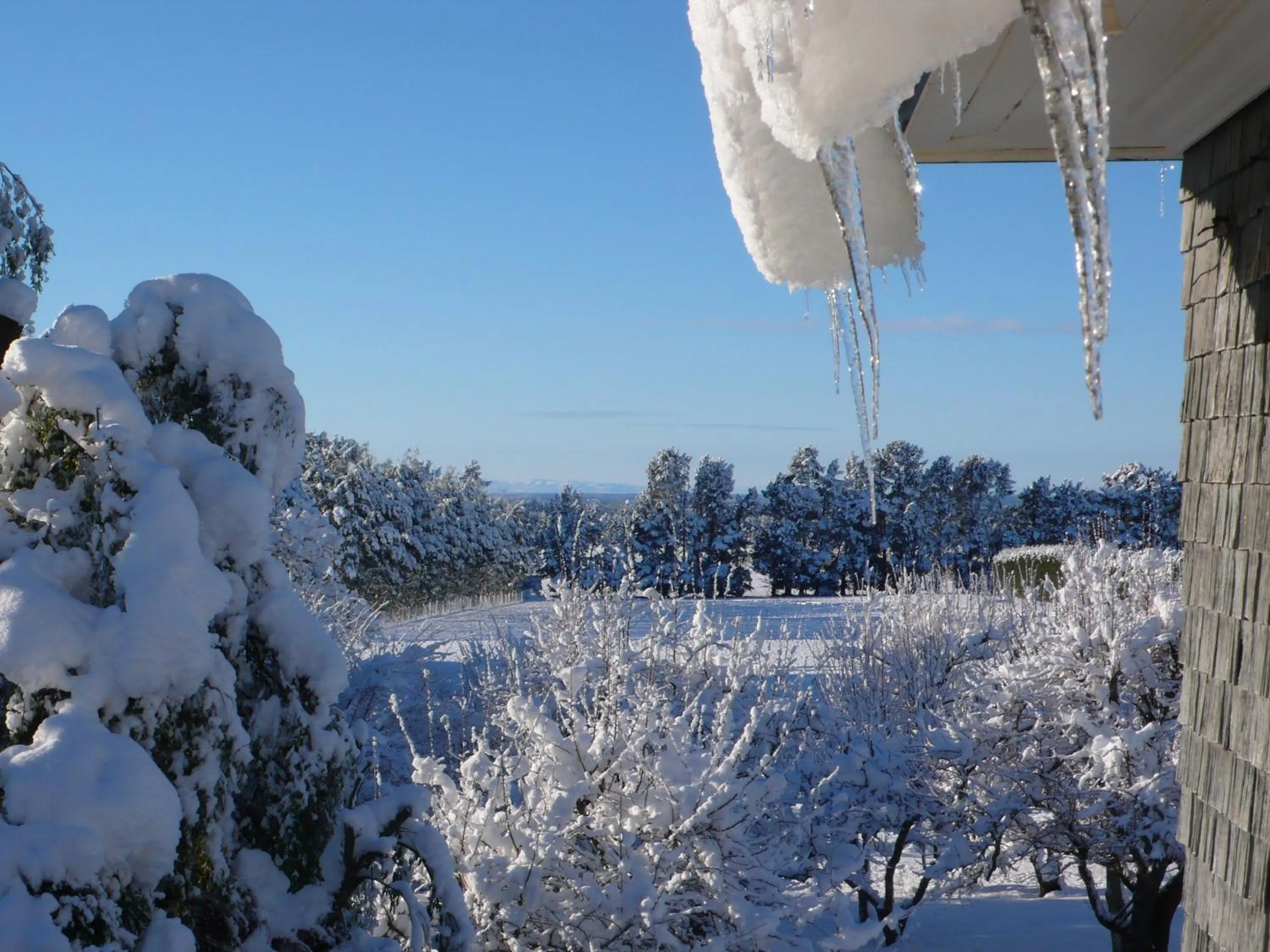 Garden in Gunyah Country Estate