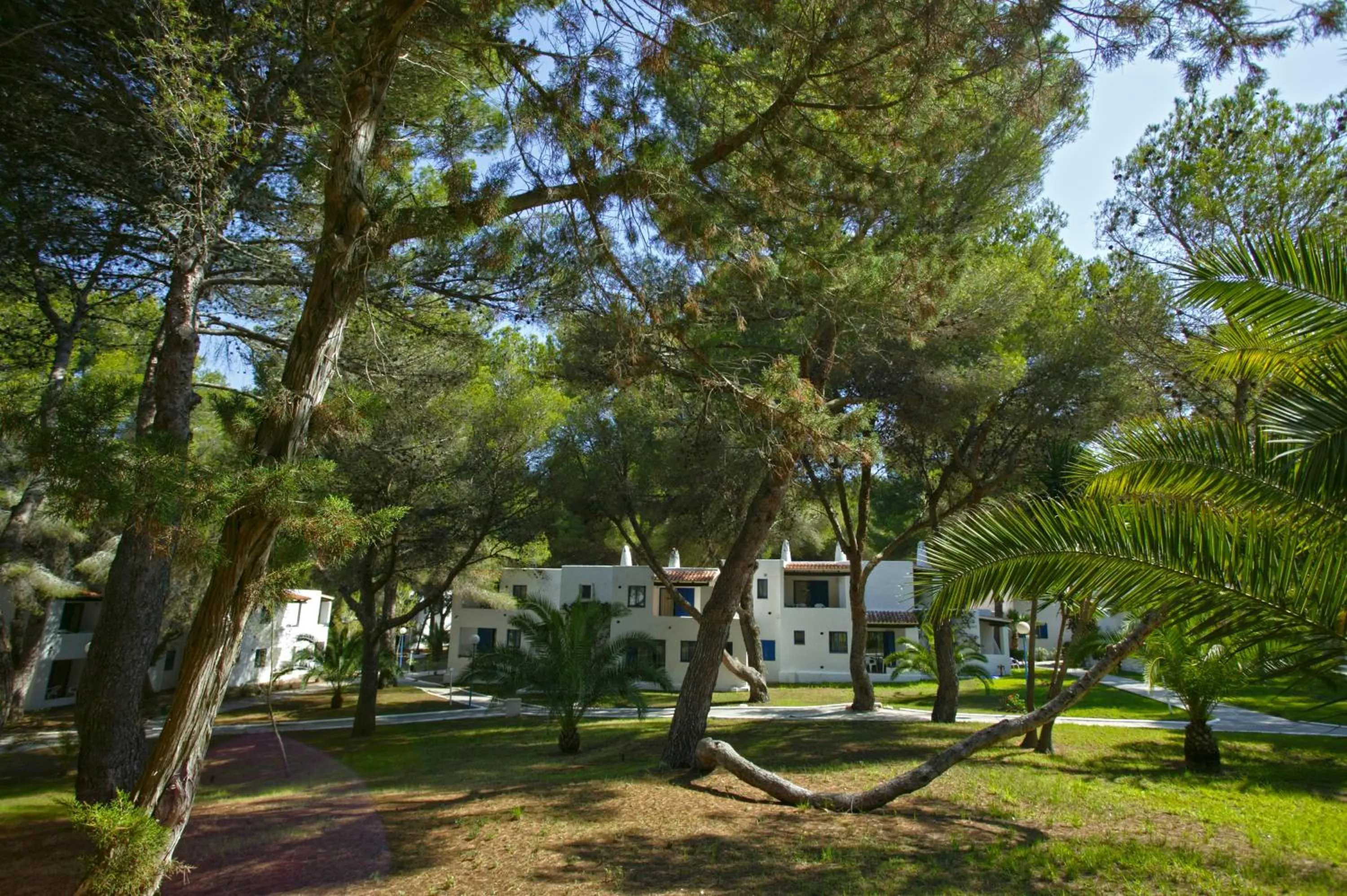 Other in Insotel Club Maryland