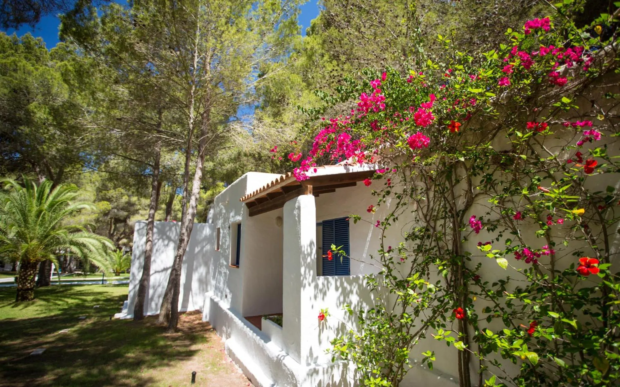 Garden view in Insotel Club Maryland