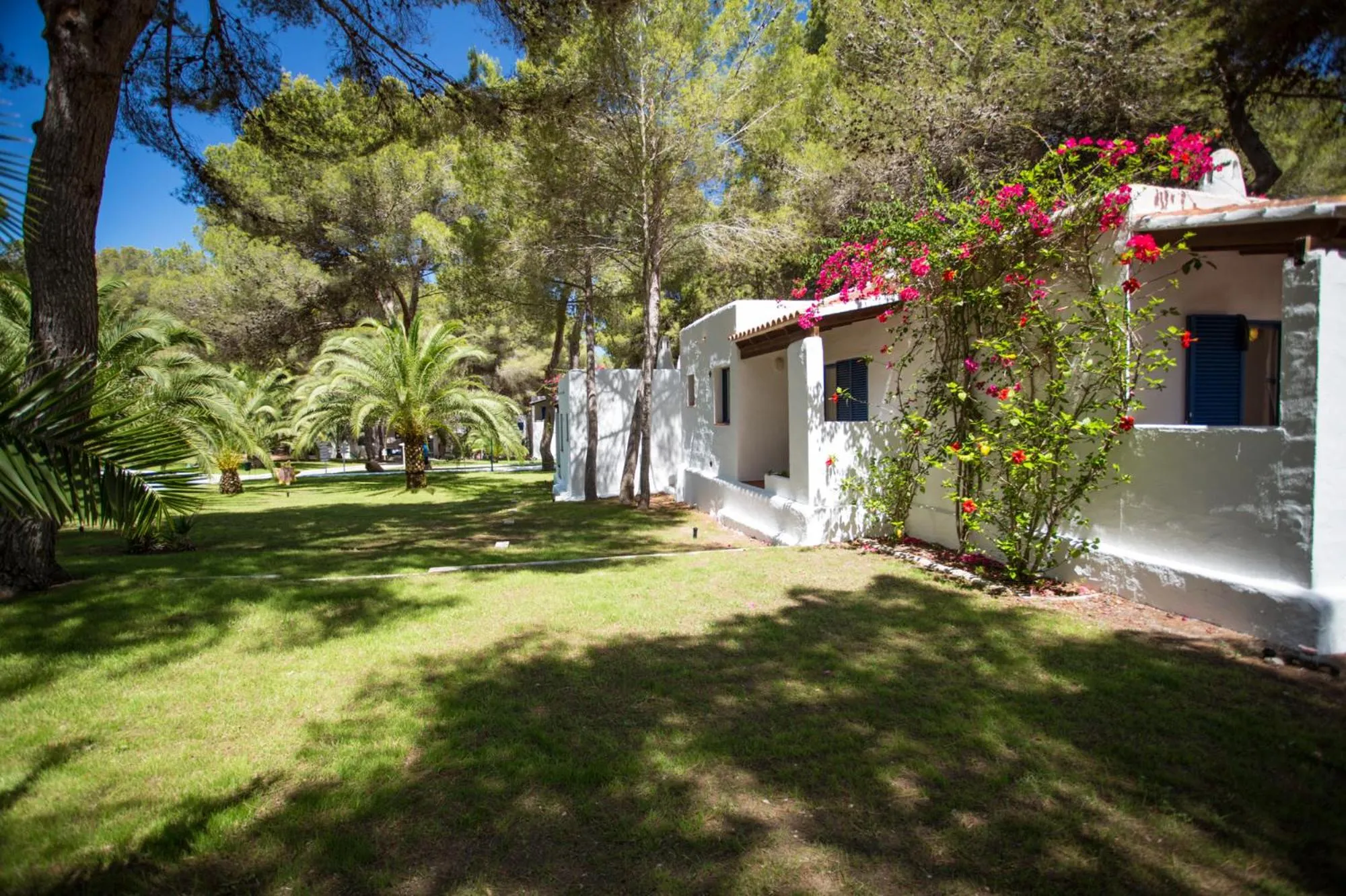 Garden in Insotel Club Maryland