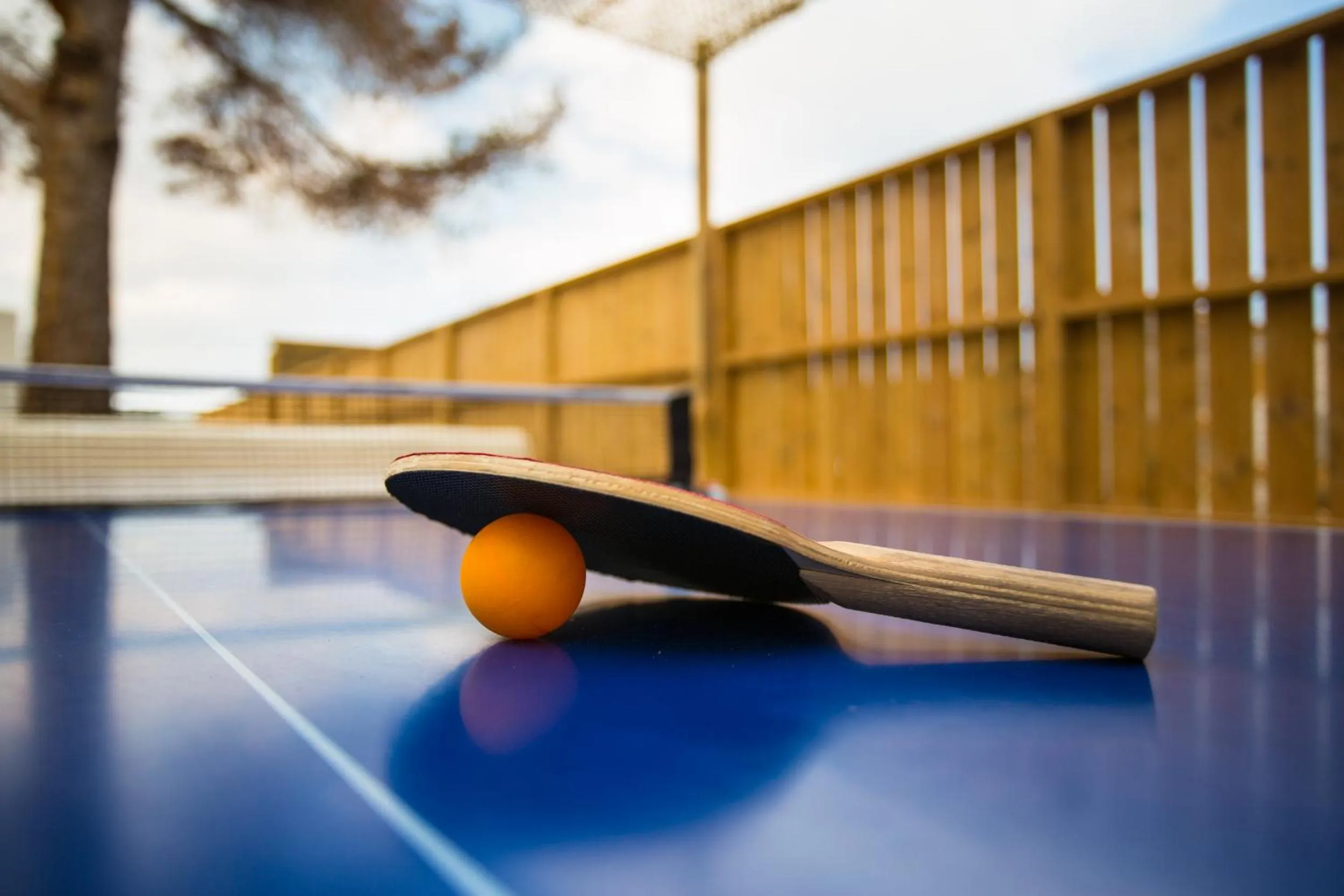 Sports in Insotel Tarida Beach Resort & SPA