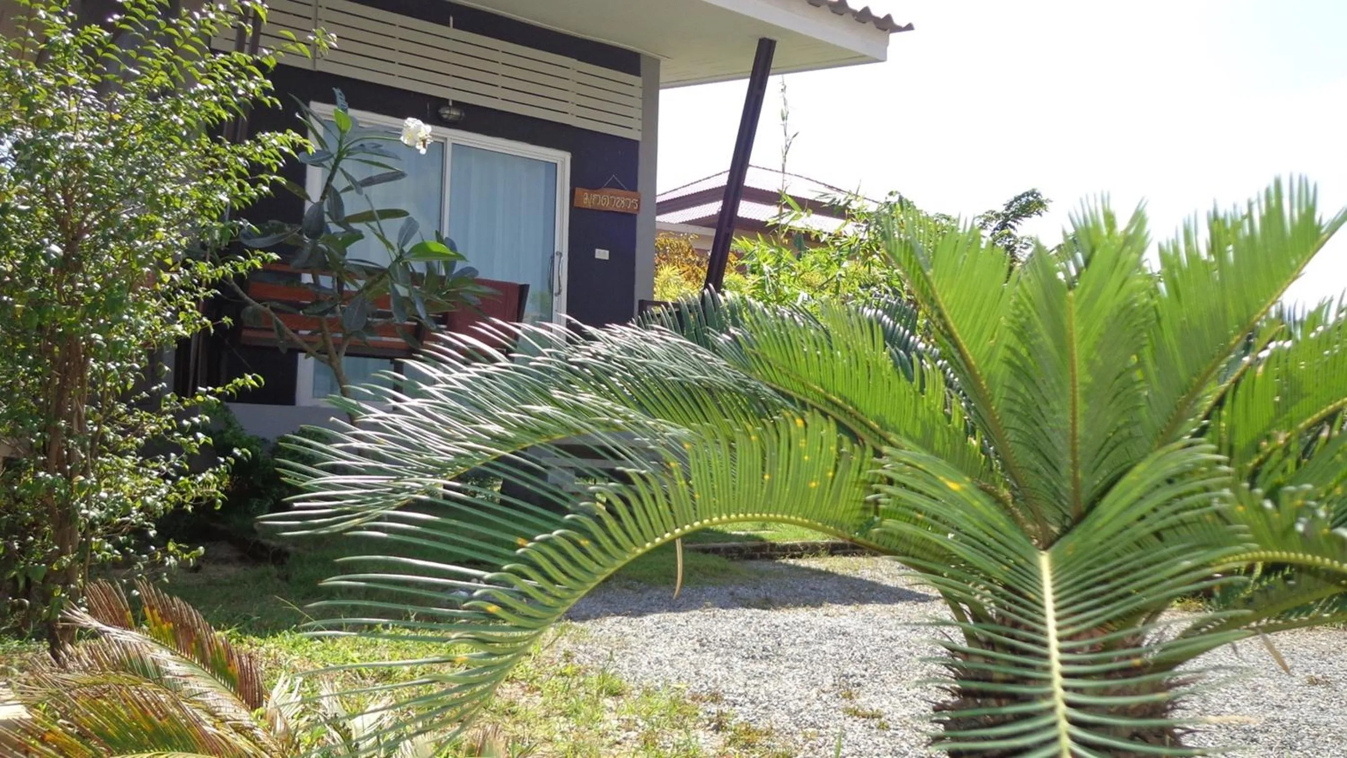 Garden in Chiang Rai Khuakrae Resort