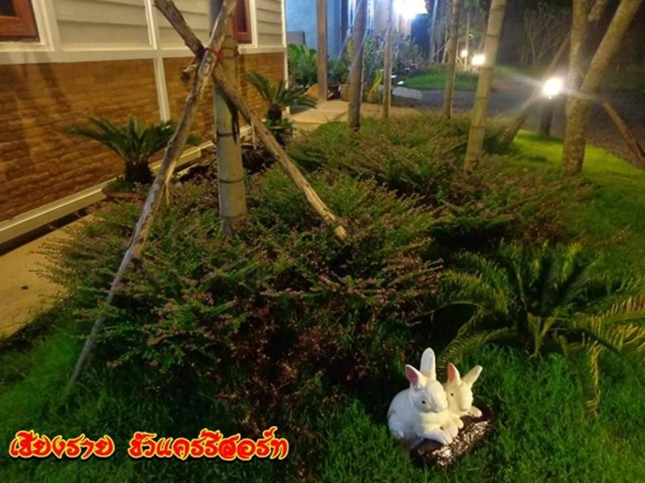 Garden in Chiang Rai Khuakrae Resort