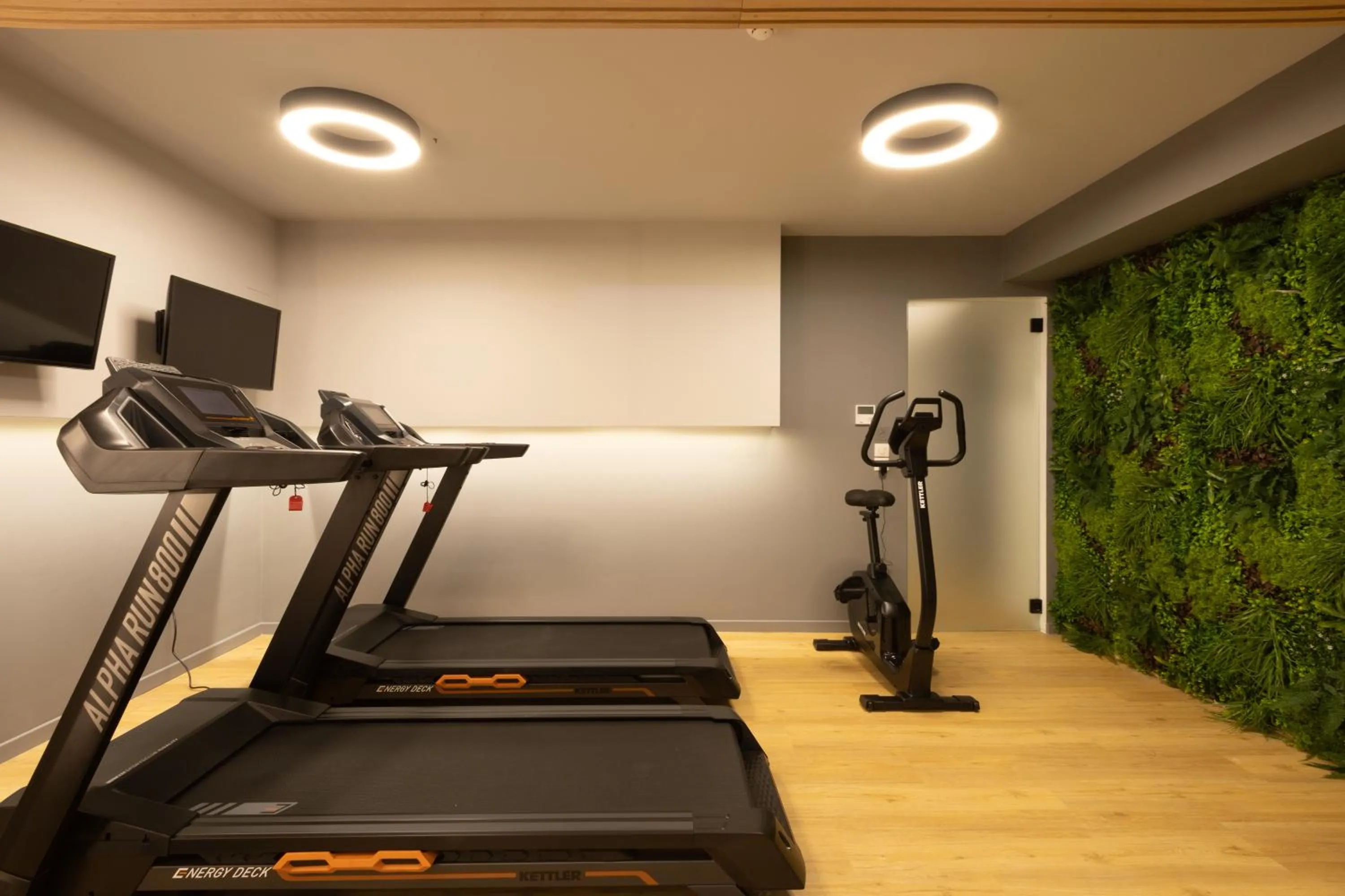Fitness centre/facilities in Incanto Boutique Suites - Mets