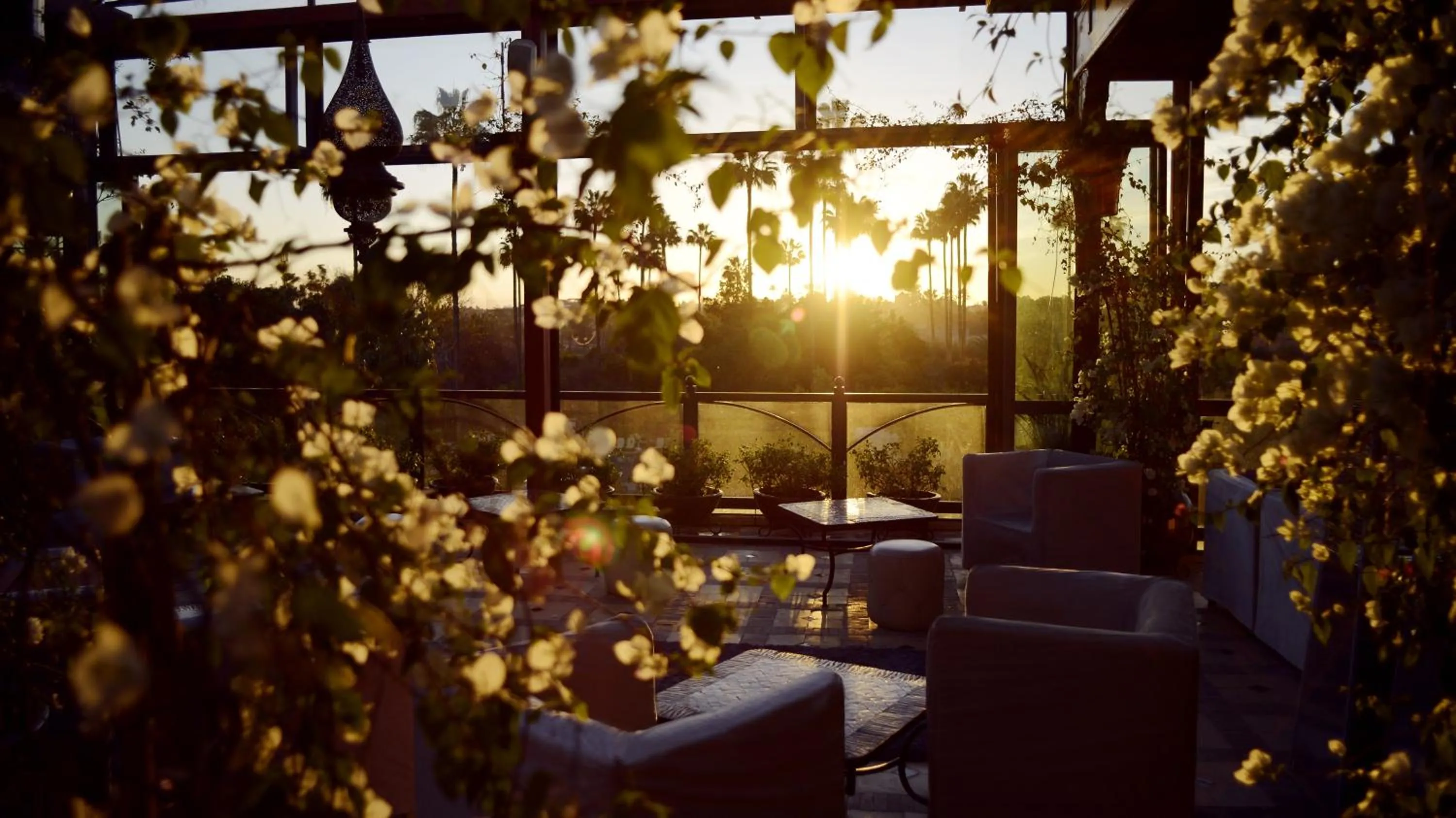 Balcony/Terrace in Riad Wow