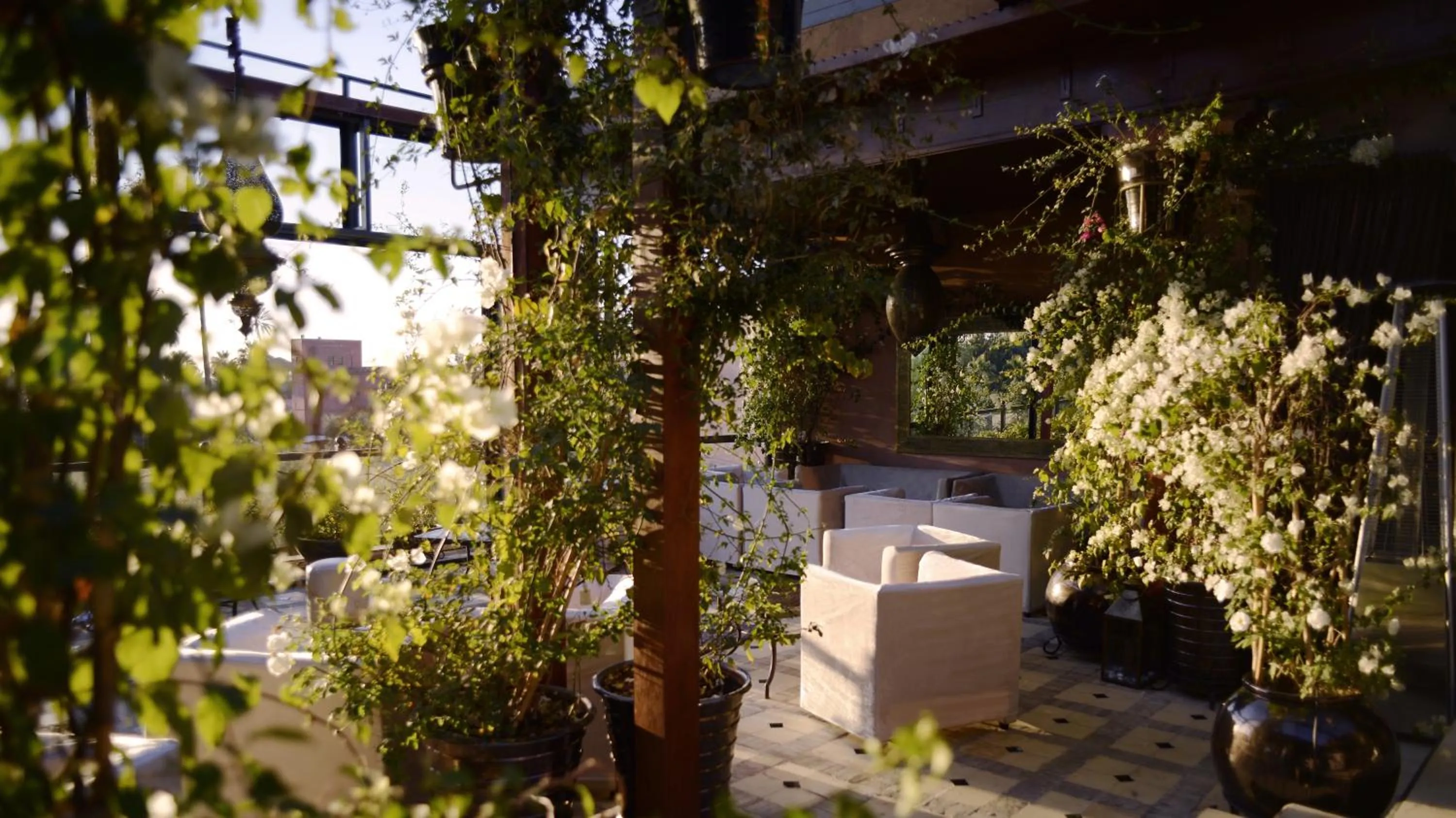 Balcony/Terrace in Riad Wow