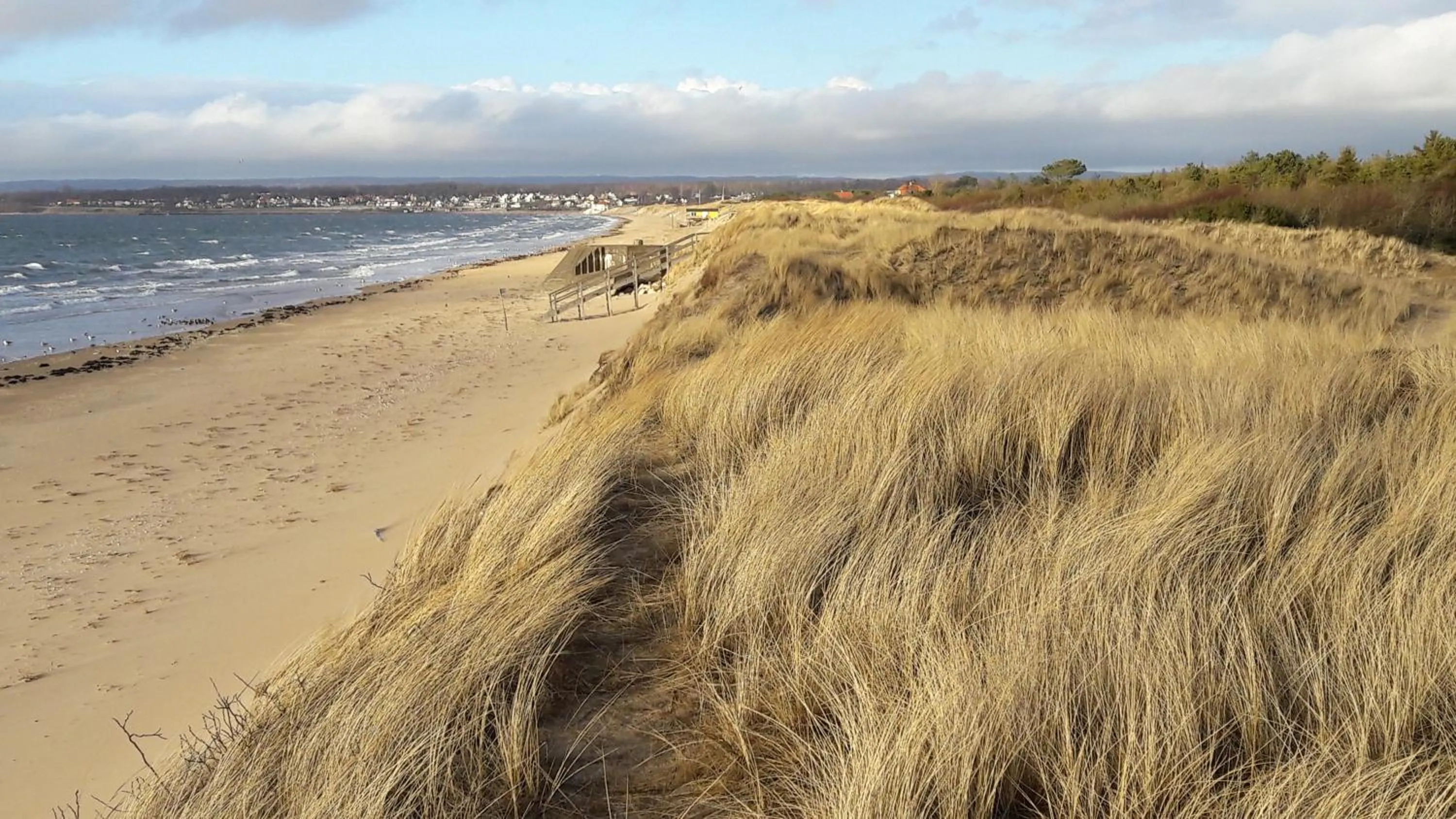 Beach in DeLay's Guest House