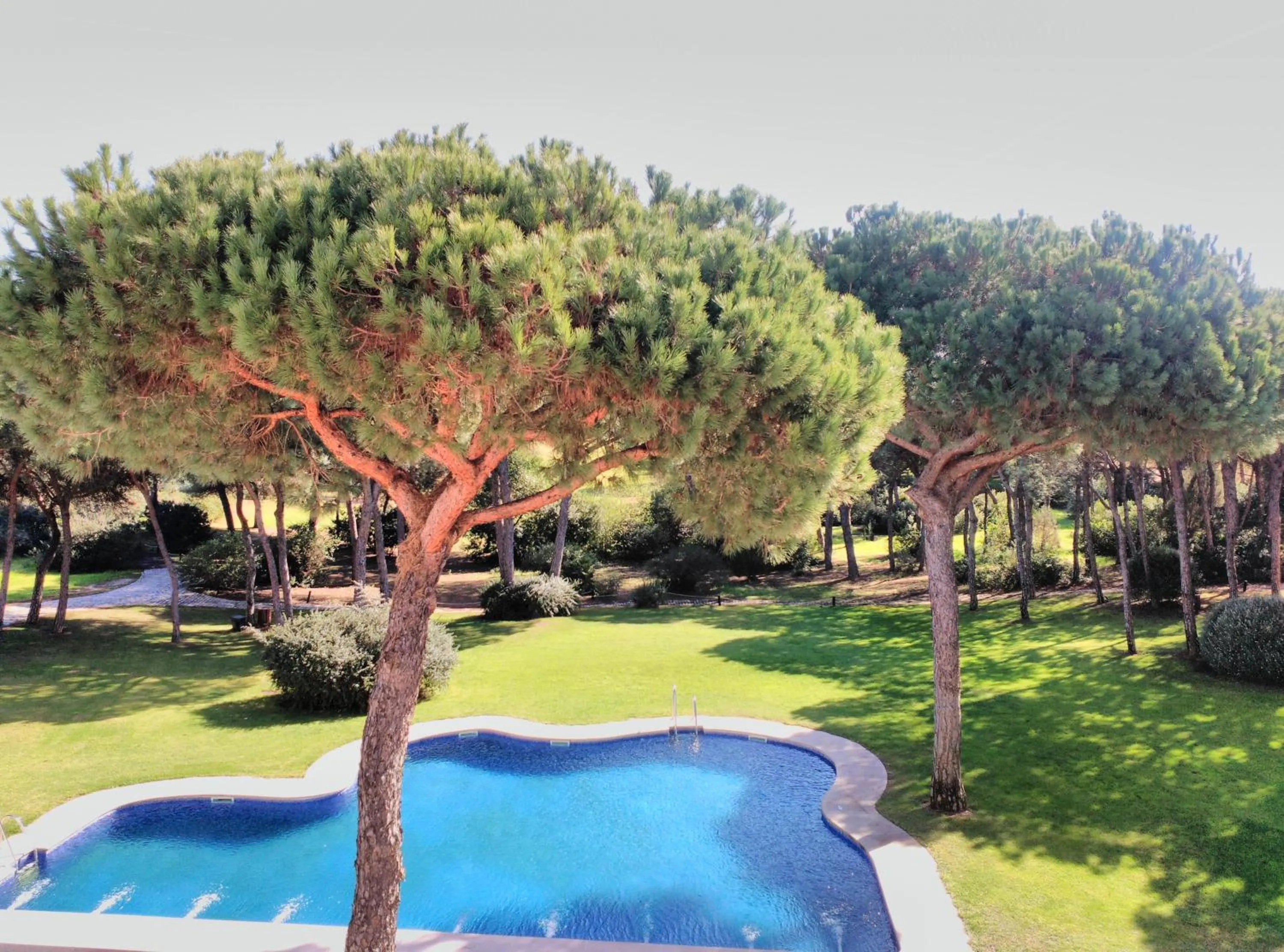 Garden in Hotel Nuevo Portil Golf