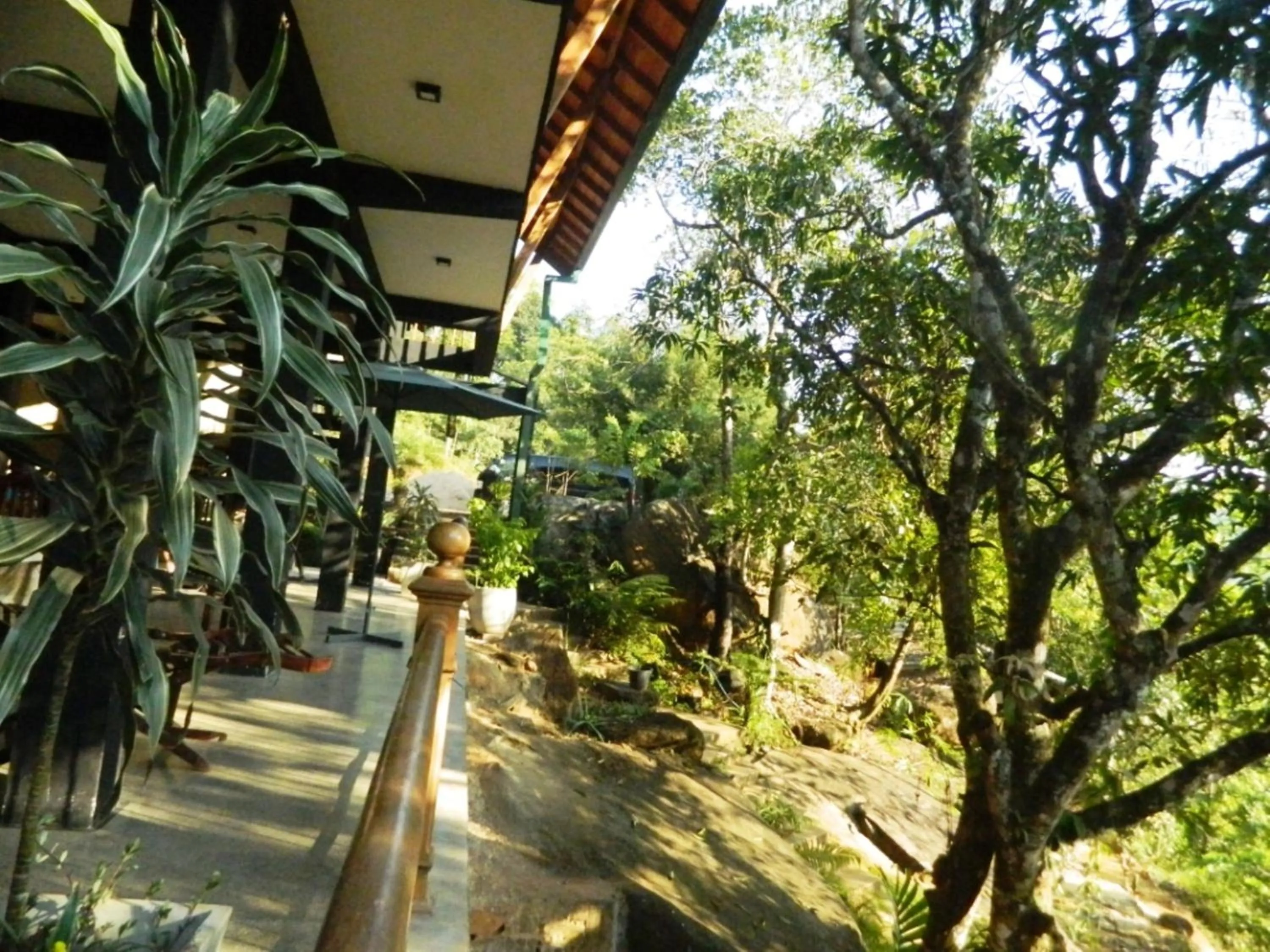 Garden view in Birds Paradise Hotel