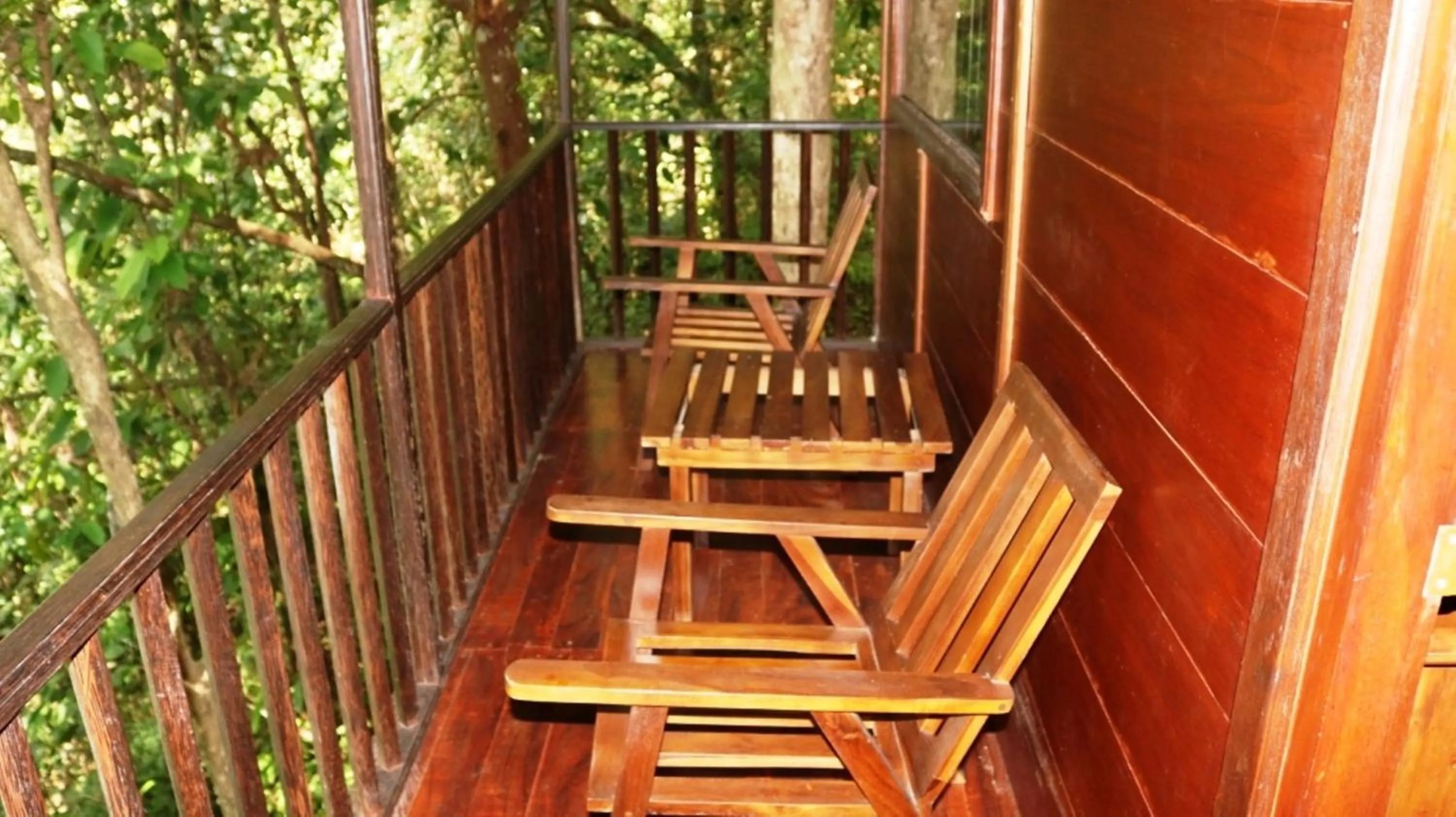 Balcony/Terrace in Birds Paradise Hotel