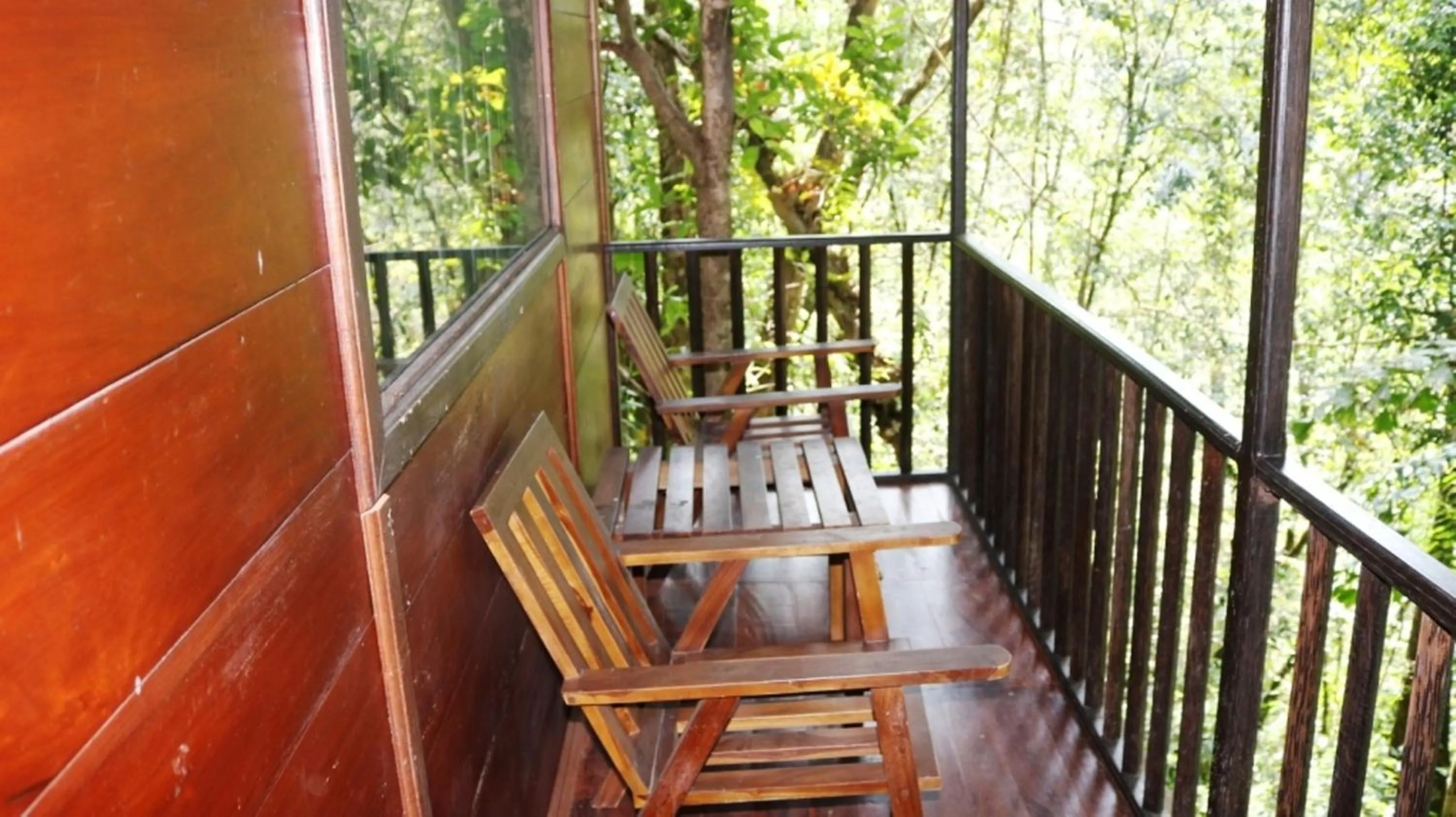 Balcony/Terrace in Birds Paradise Hotel