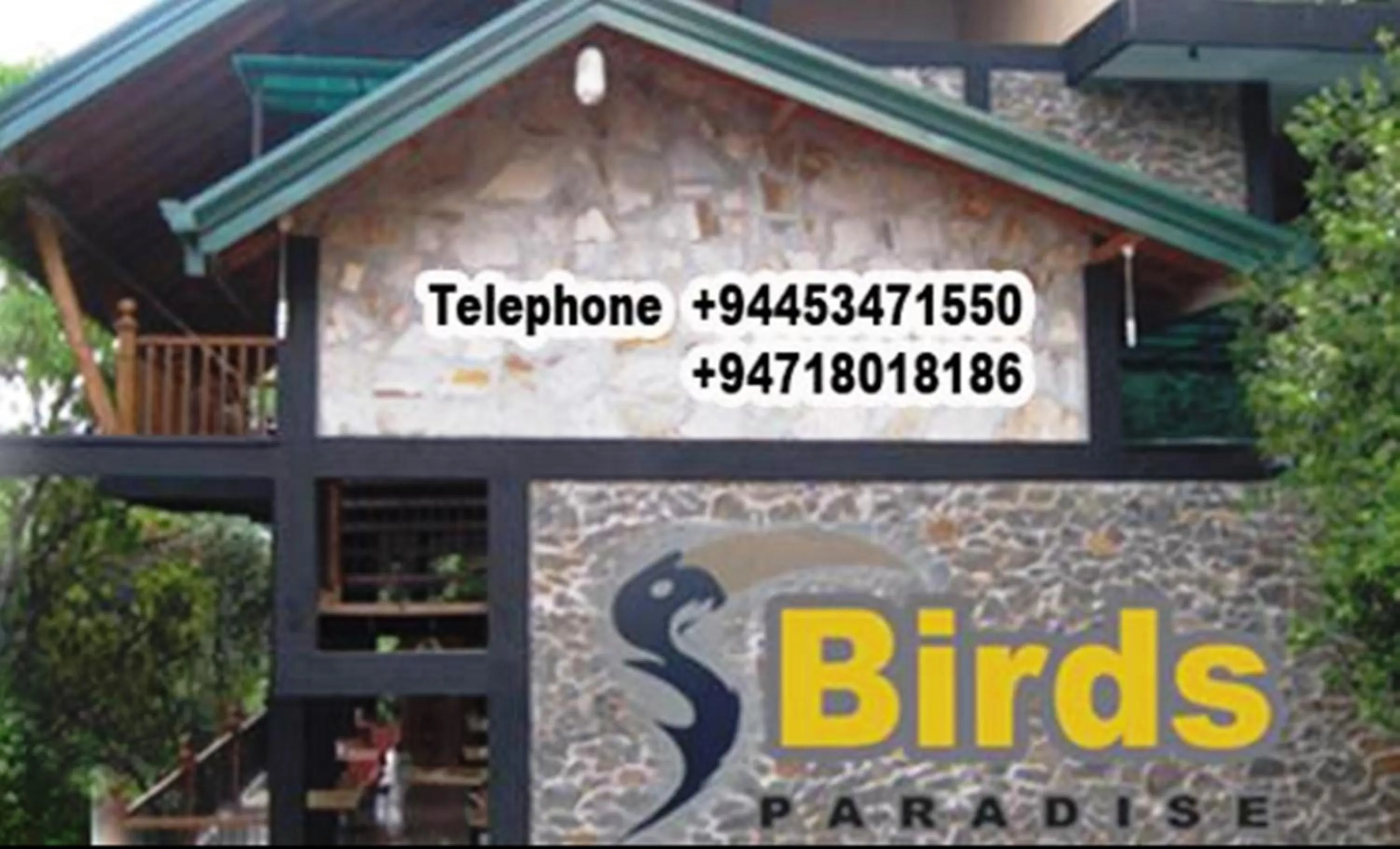 Location in Birds Paradise Hotel