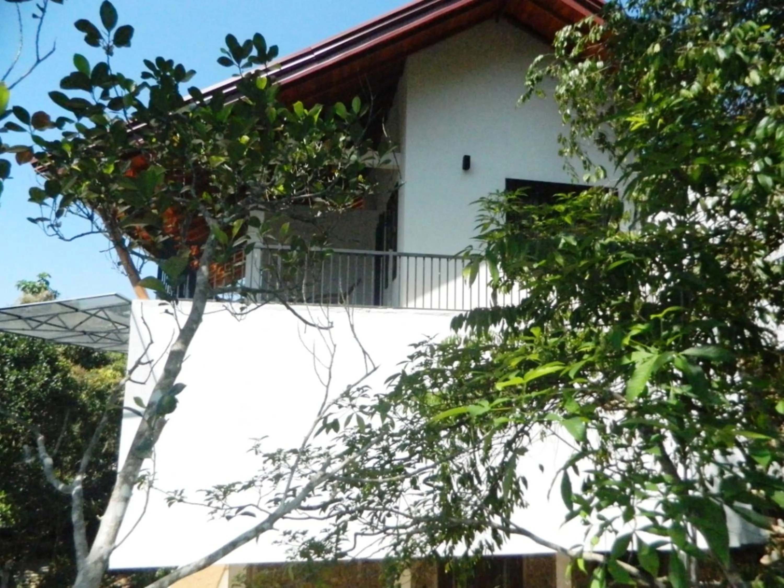 Balcony/Terrace in Birds Paradise Hotel