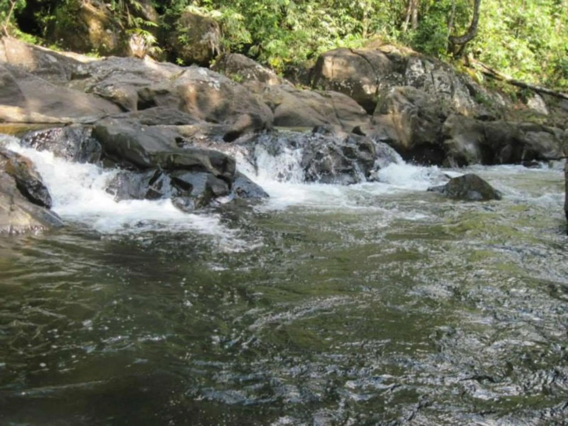 Area and facilities in Birds Paradise Hotel