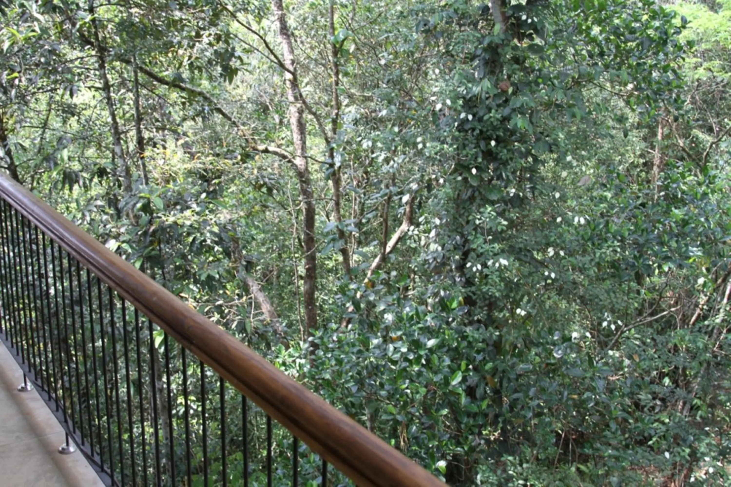 Natural landscape in Birds Paradise Hotel