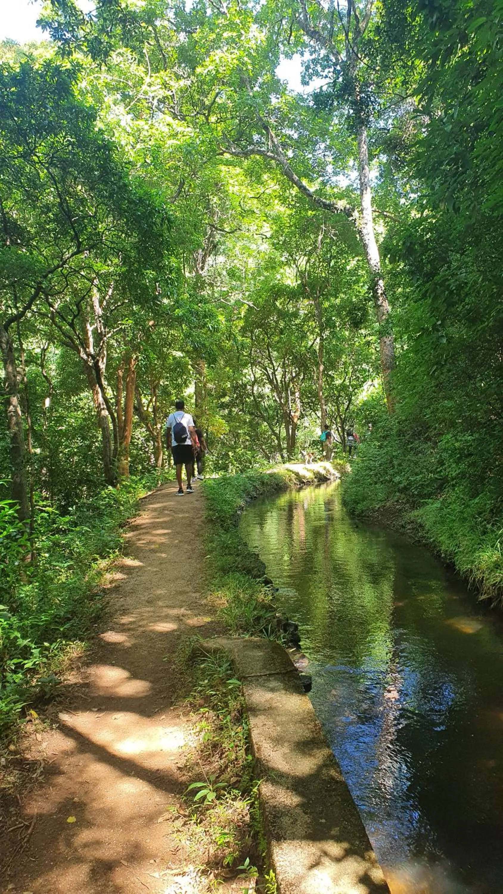 Nearby landmark in Mapakada Village - Mahiyanganaya