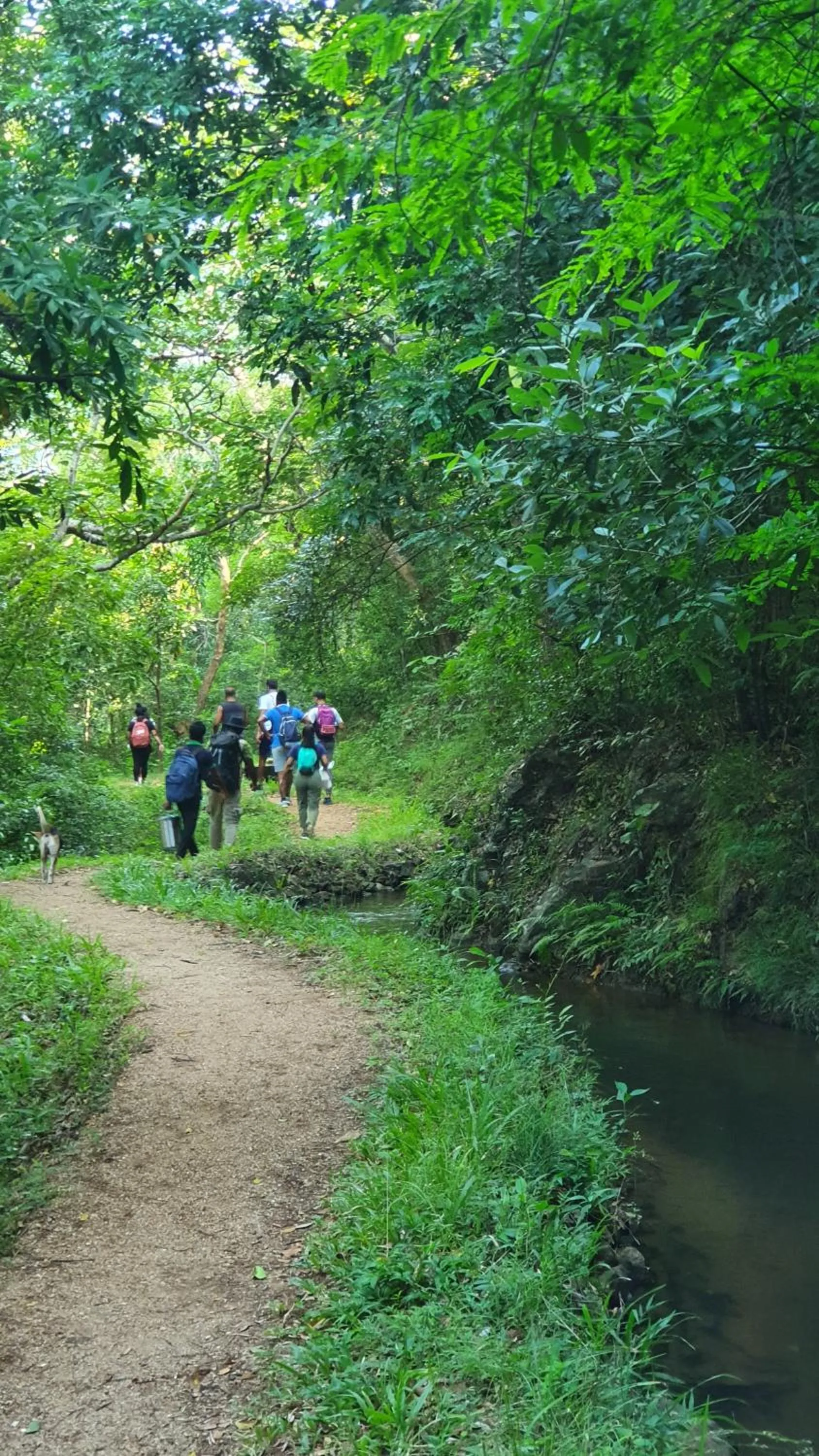 Hiking in Mapakada Village - Mahiyanganaya