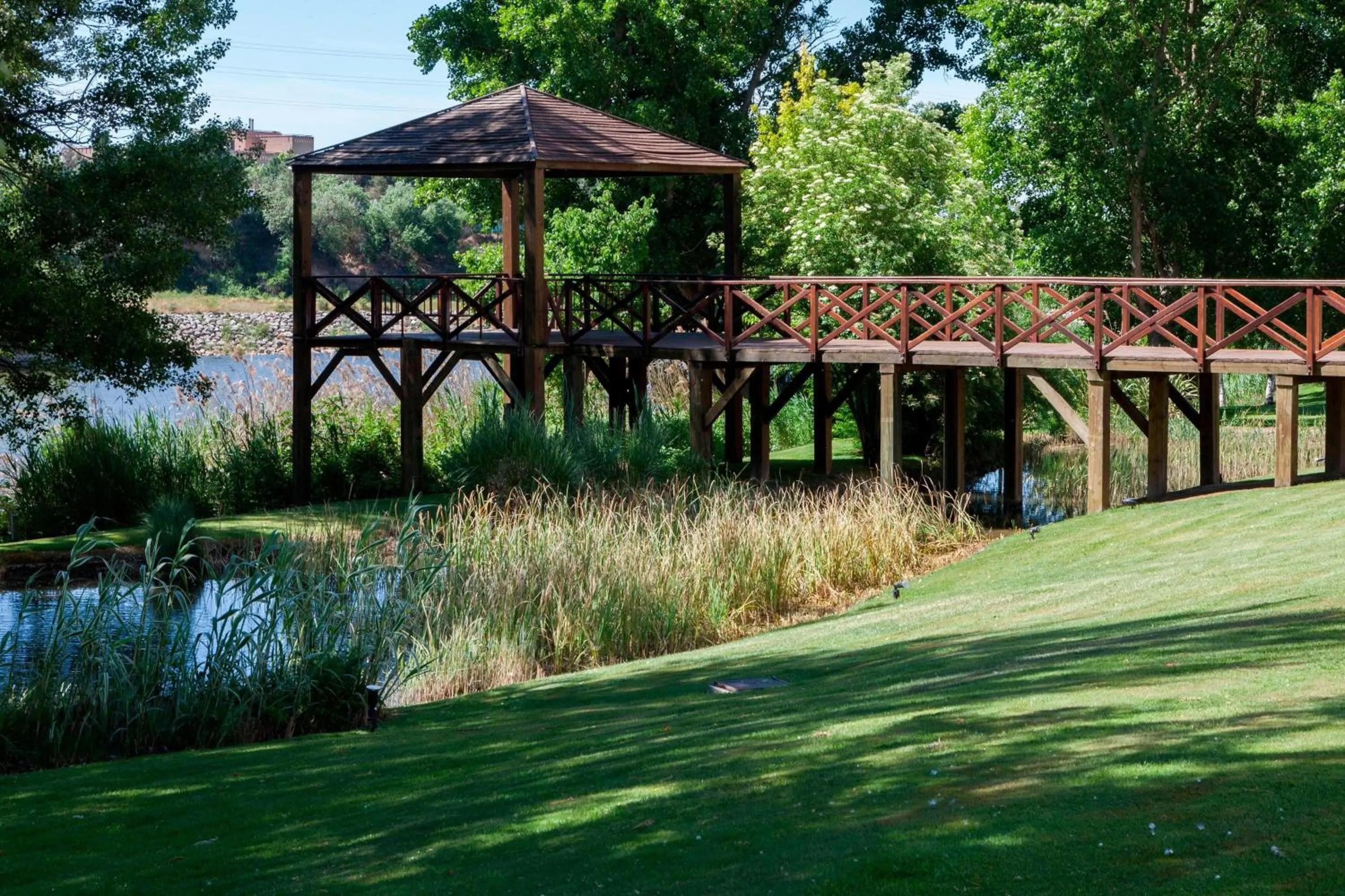 View (from property/room) in AC Hotel Palacio de Santa Ana by Marriott