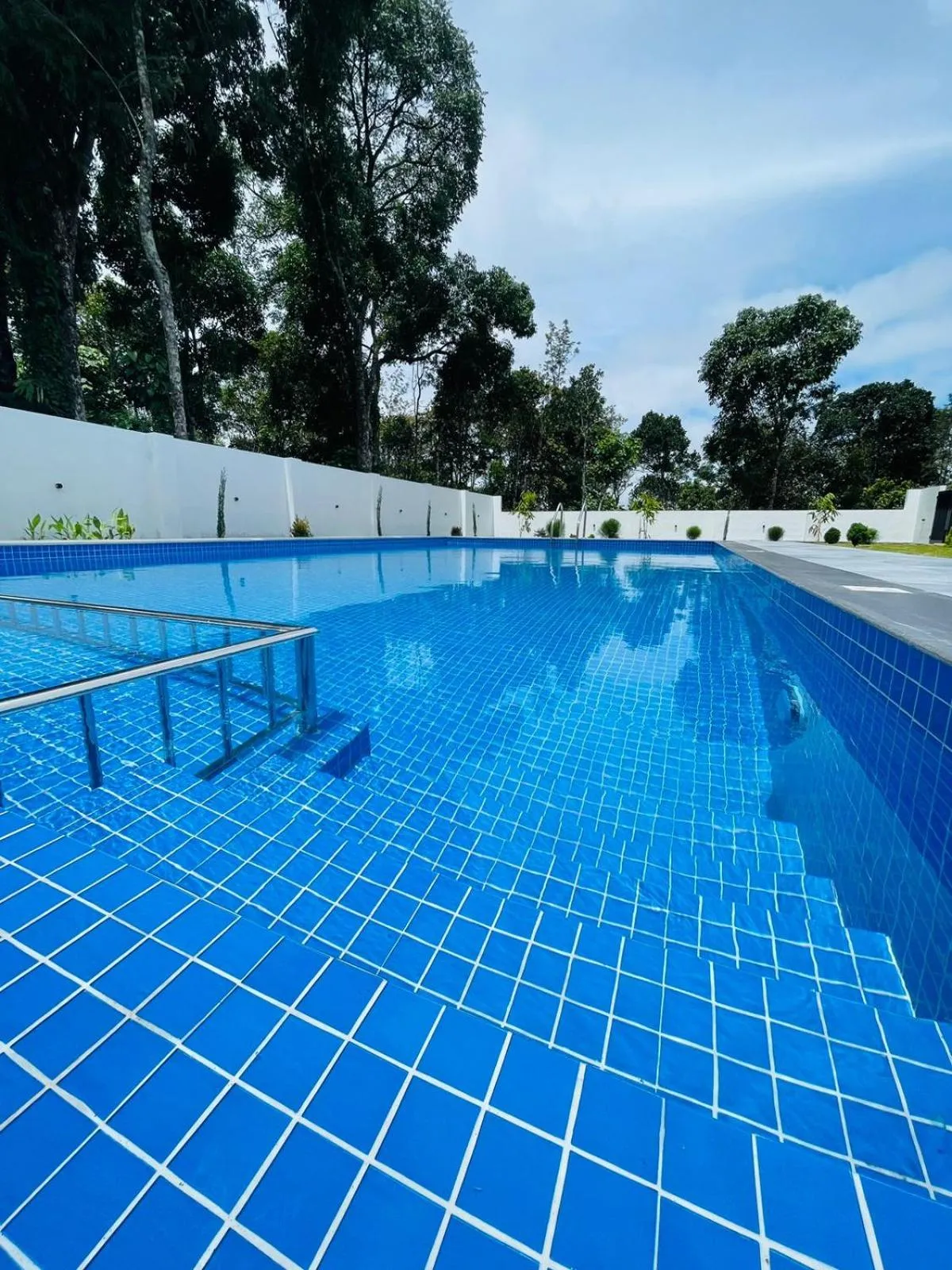 Day in The Windy Mist Resort Munnar