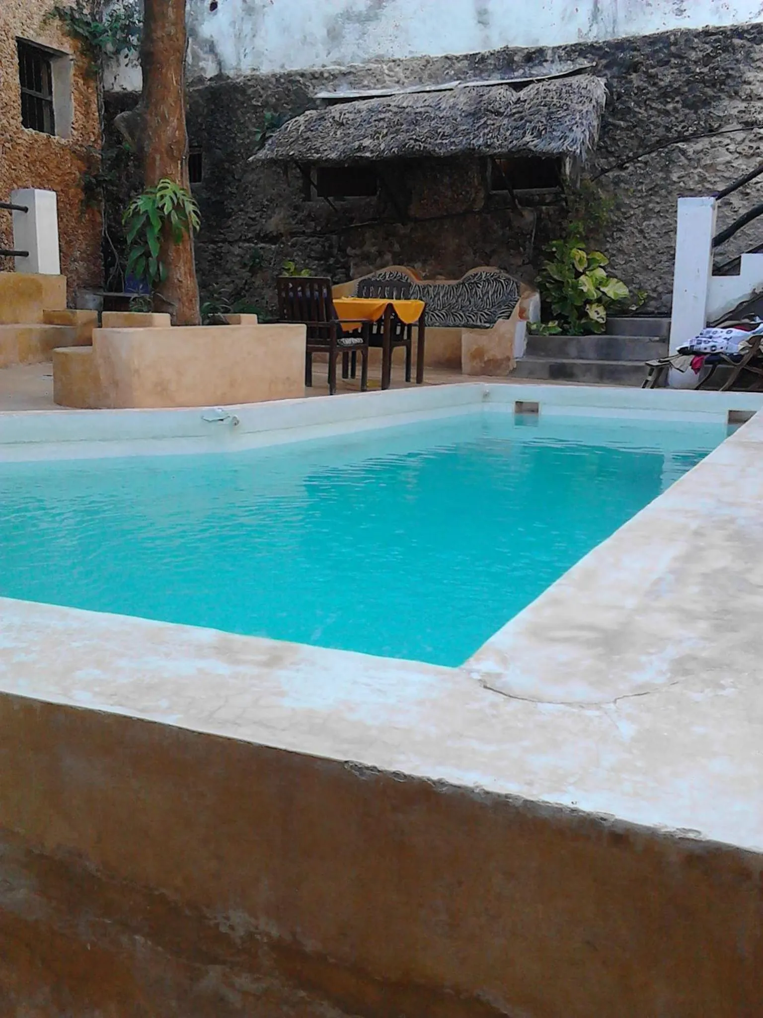 Swimming pool in Jannat House