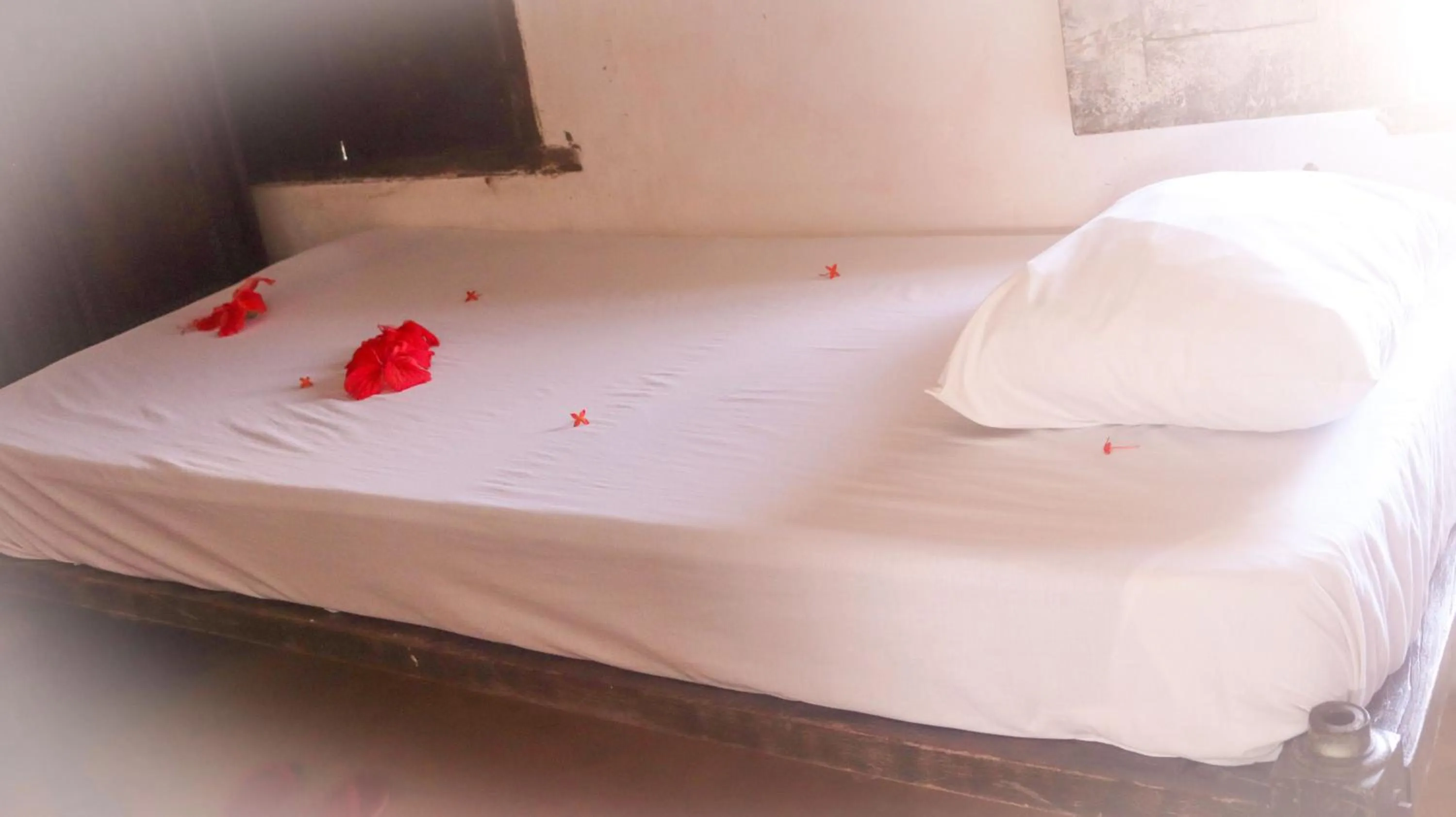 Property building, Bed in Jannat House