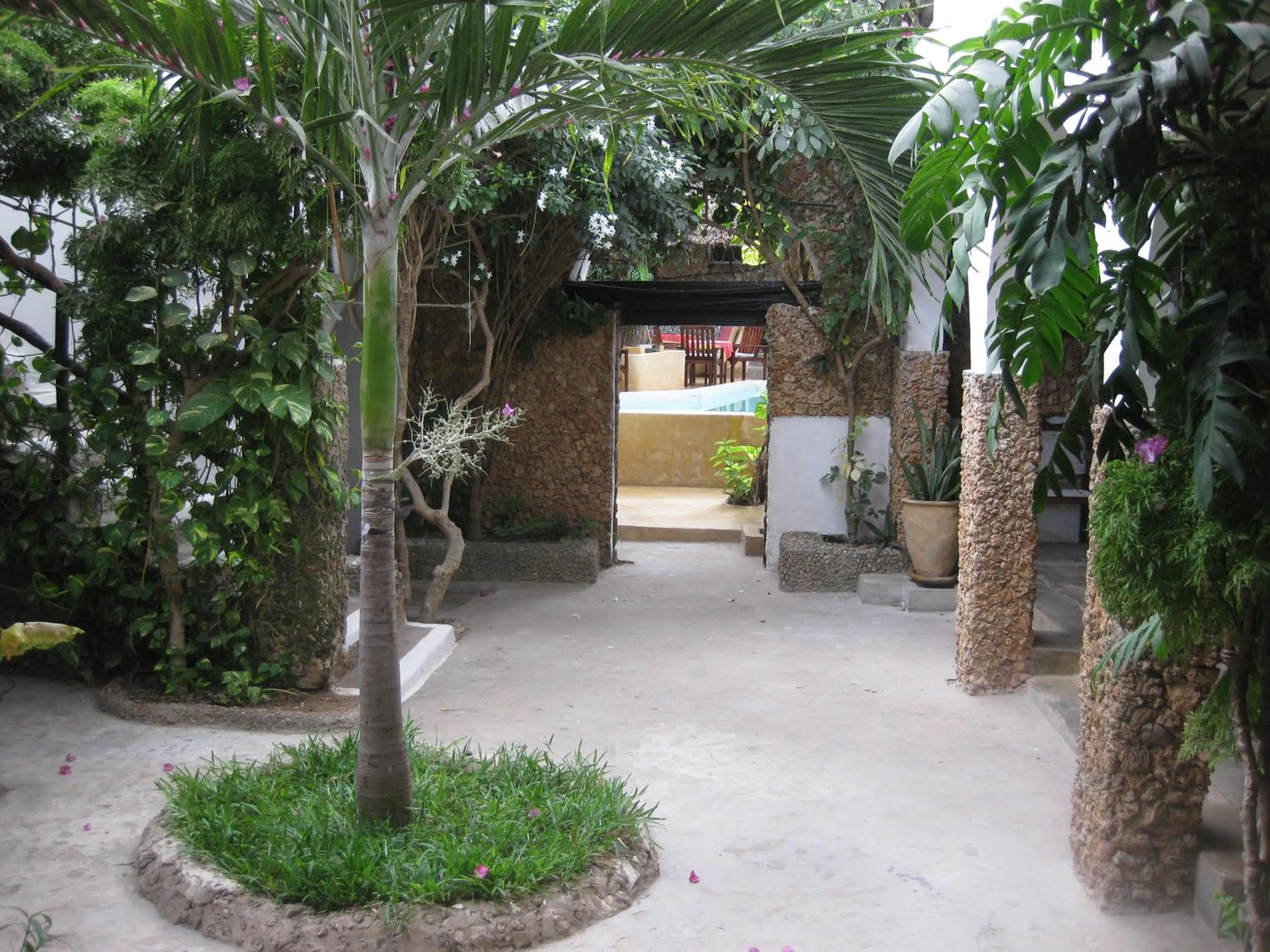 Garden in Jannat House