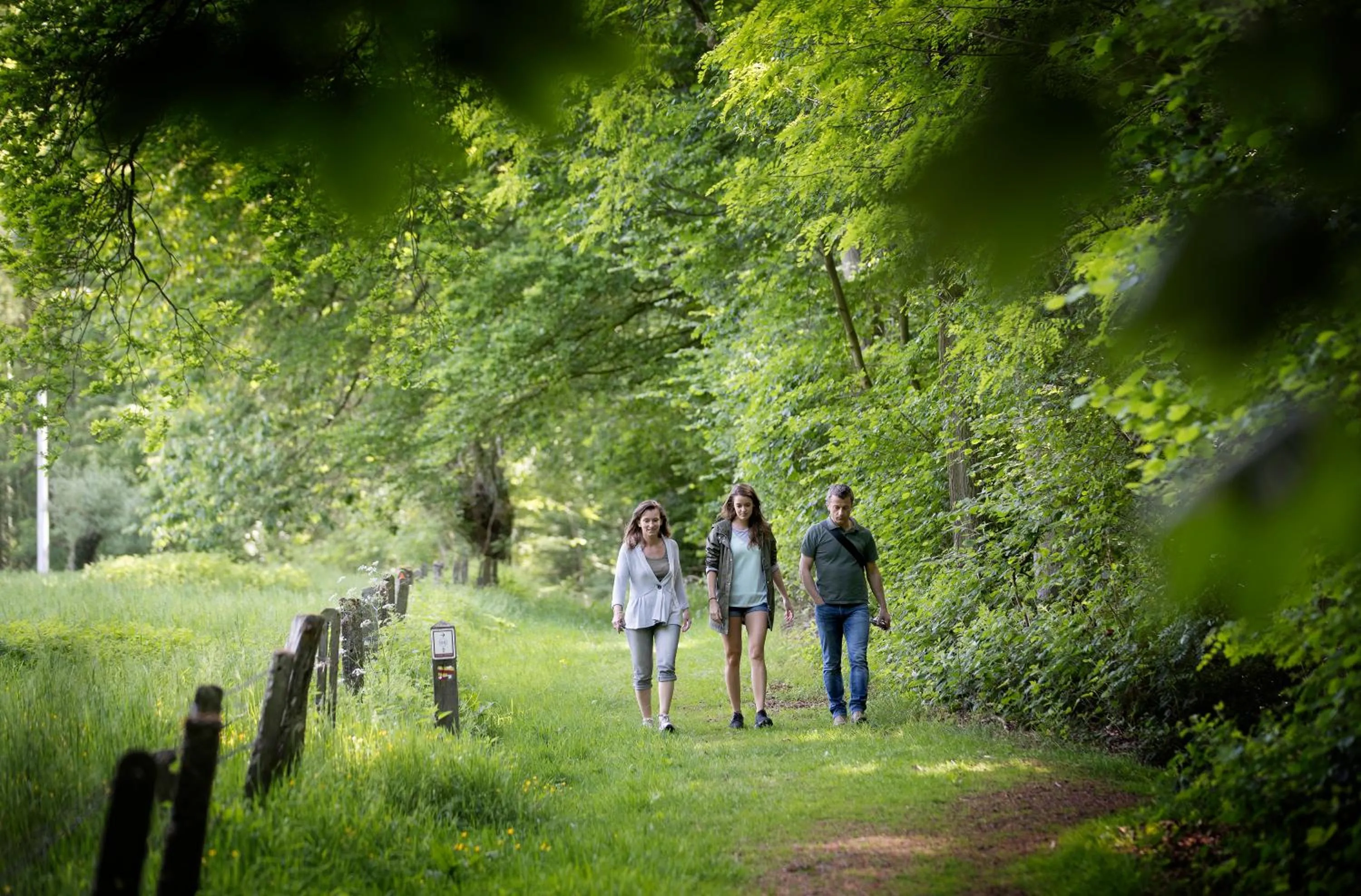 Natural landscape in Leopold Hotel Oudenaarde