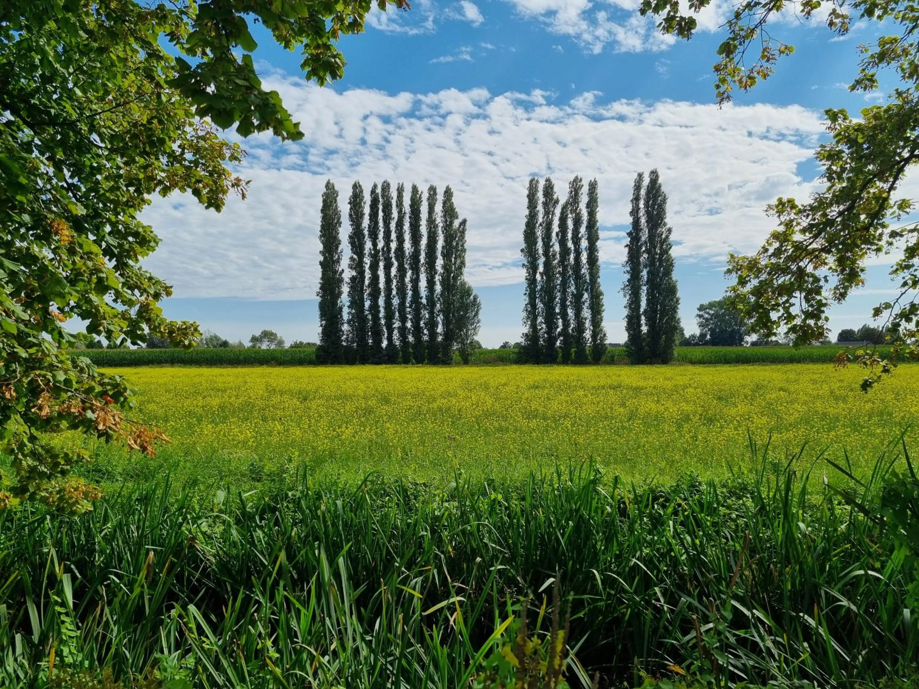 Natural landscape in Leopold Hotel Oudenaarde
