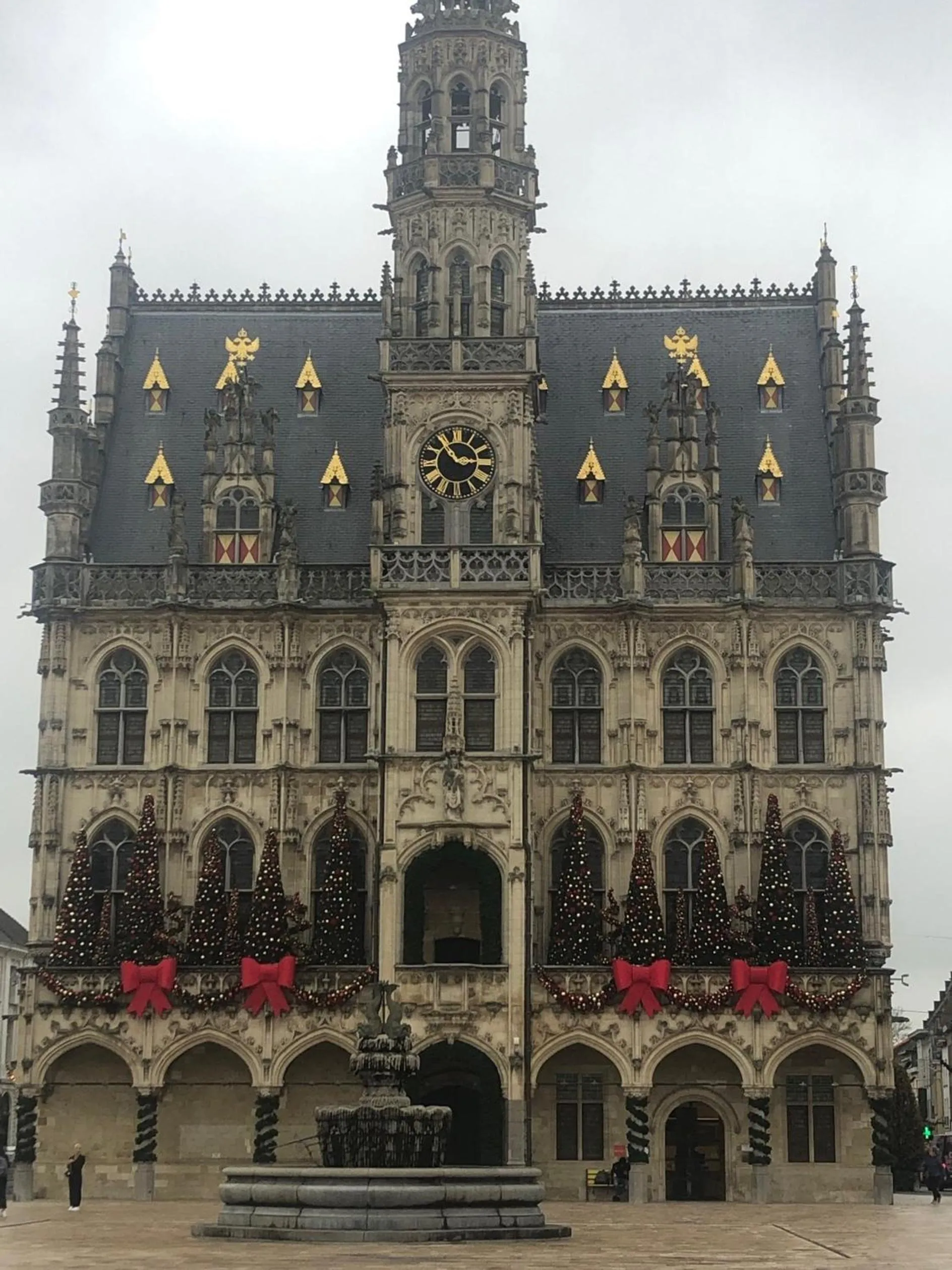 Neighbourhood in Leopold Hotel Oudenaarde