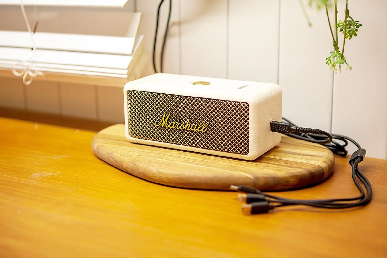 Entertainment in Hostel Mihojae Busan