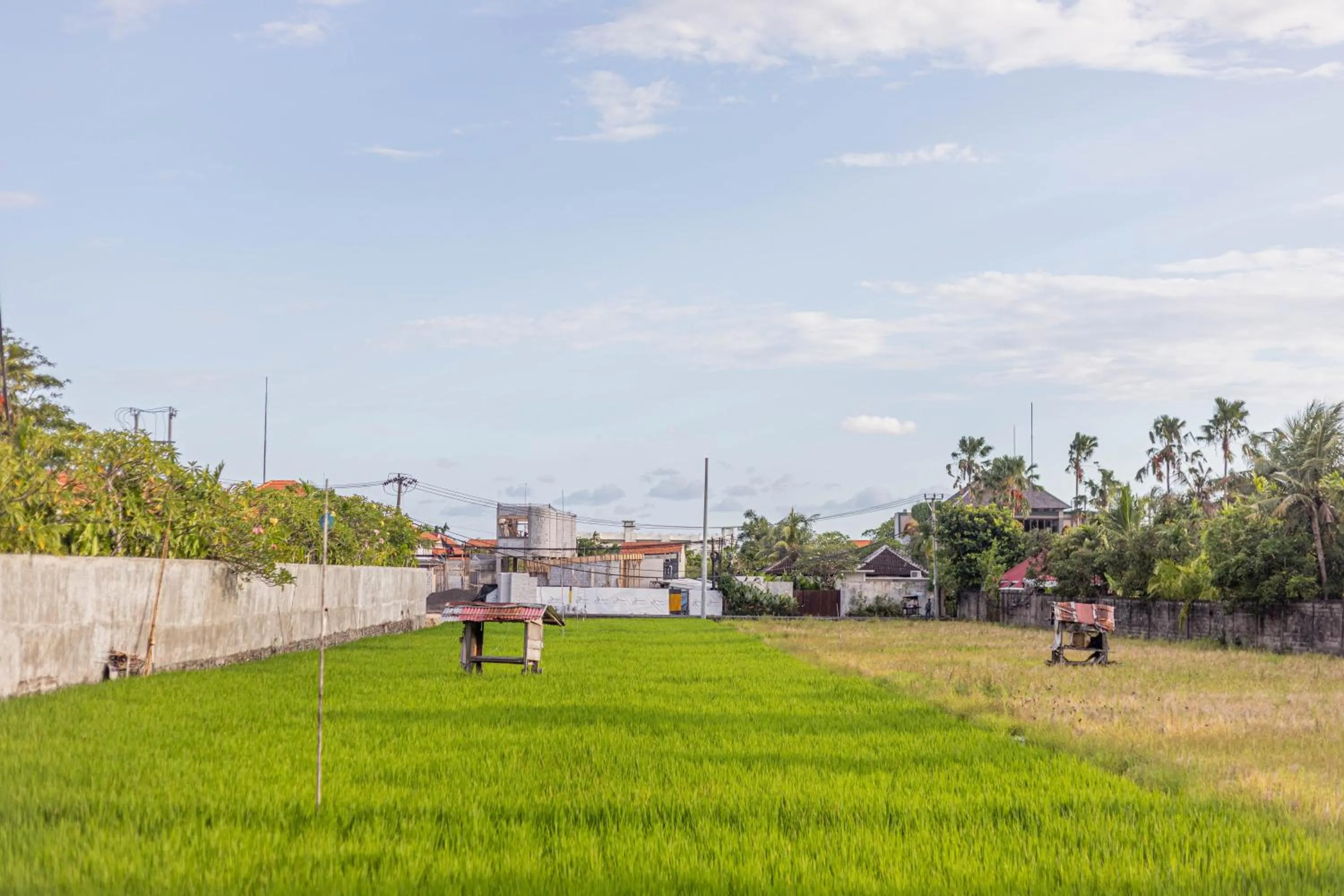 Spring in Casa Batu Belig