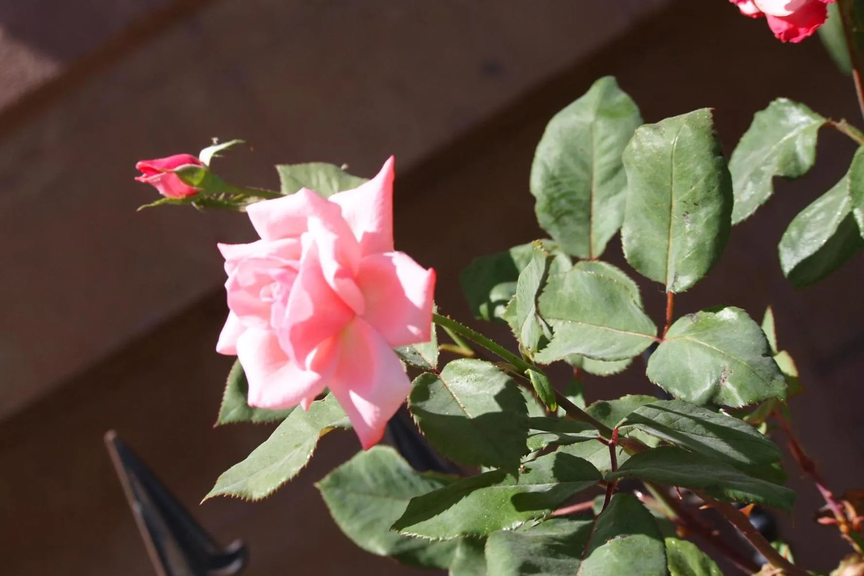 Facade/entrance in Emre's Stone House