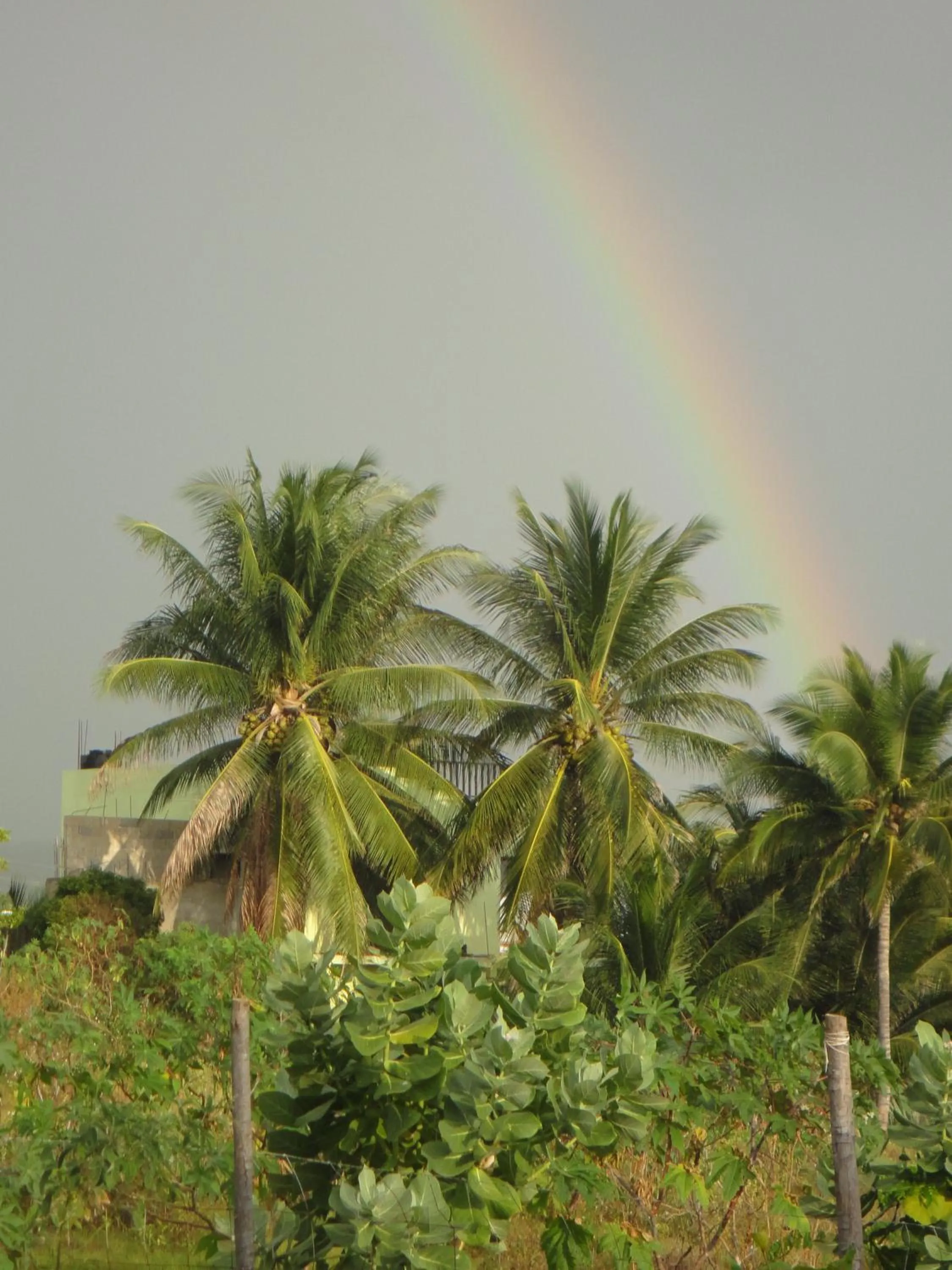 View (from property/room) in KuDehya Guesthouse