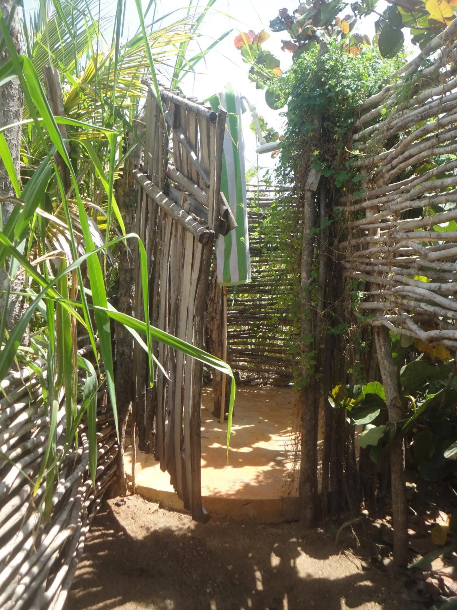 Garden in KuDehya Guesthouse