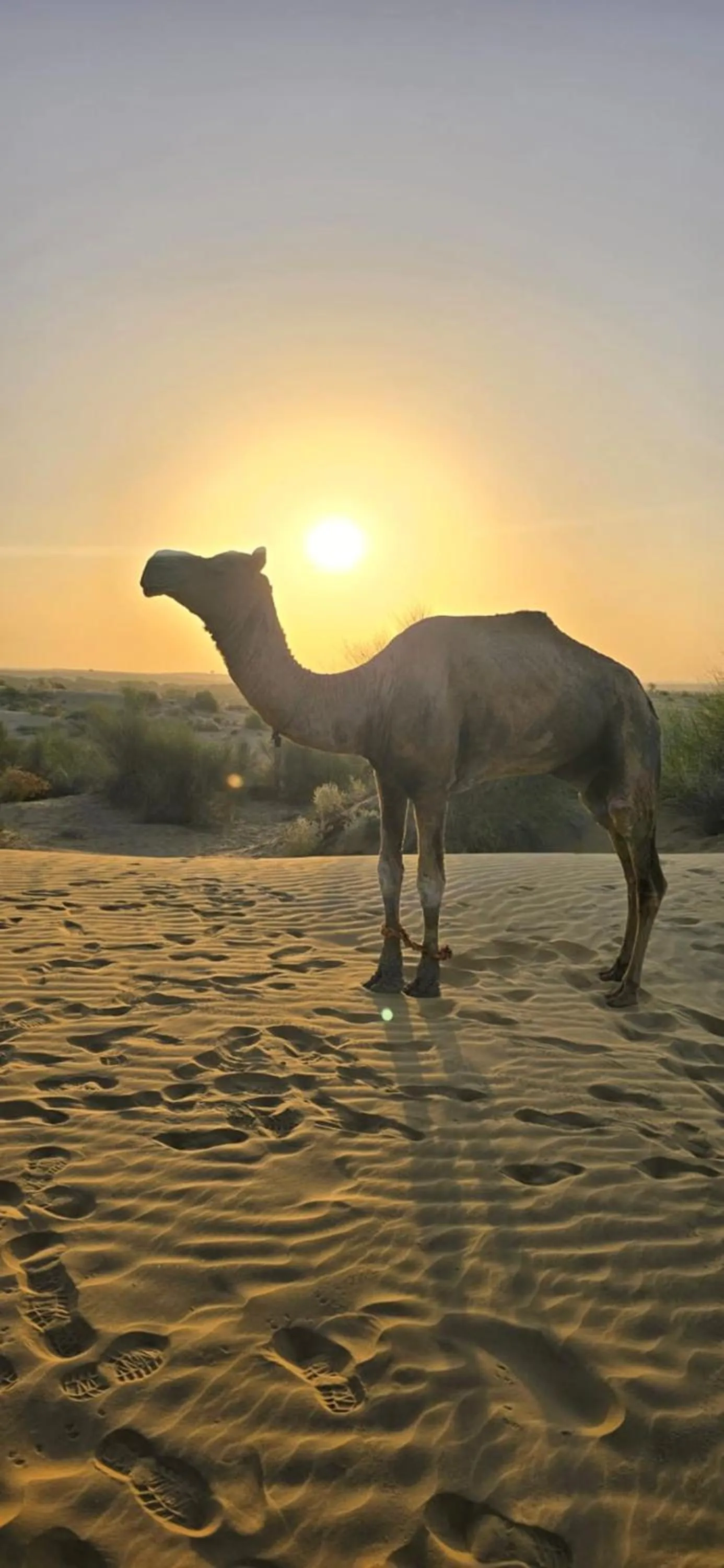 Location in Relax Inn Jaisalmer