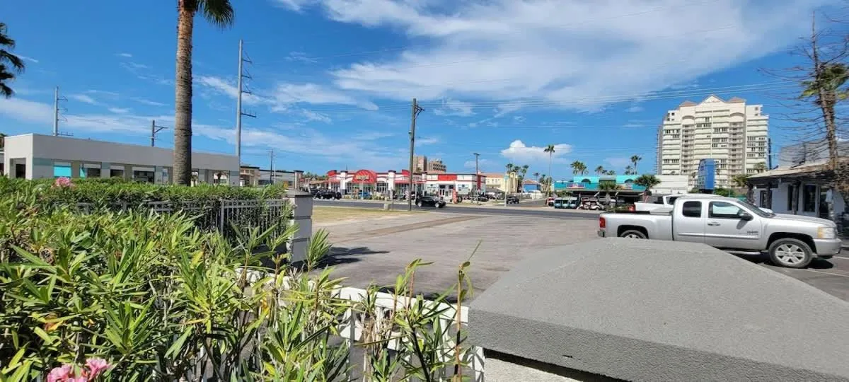 Other in Tortuga Bay