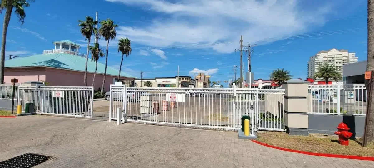 Other in Tortuga Bay