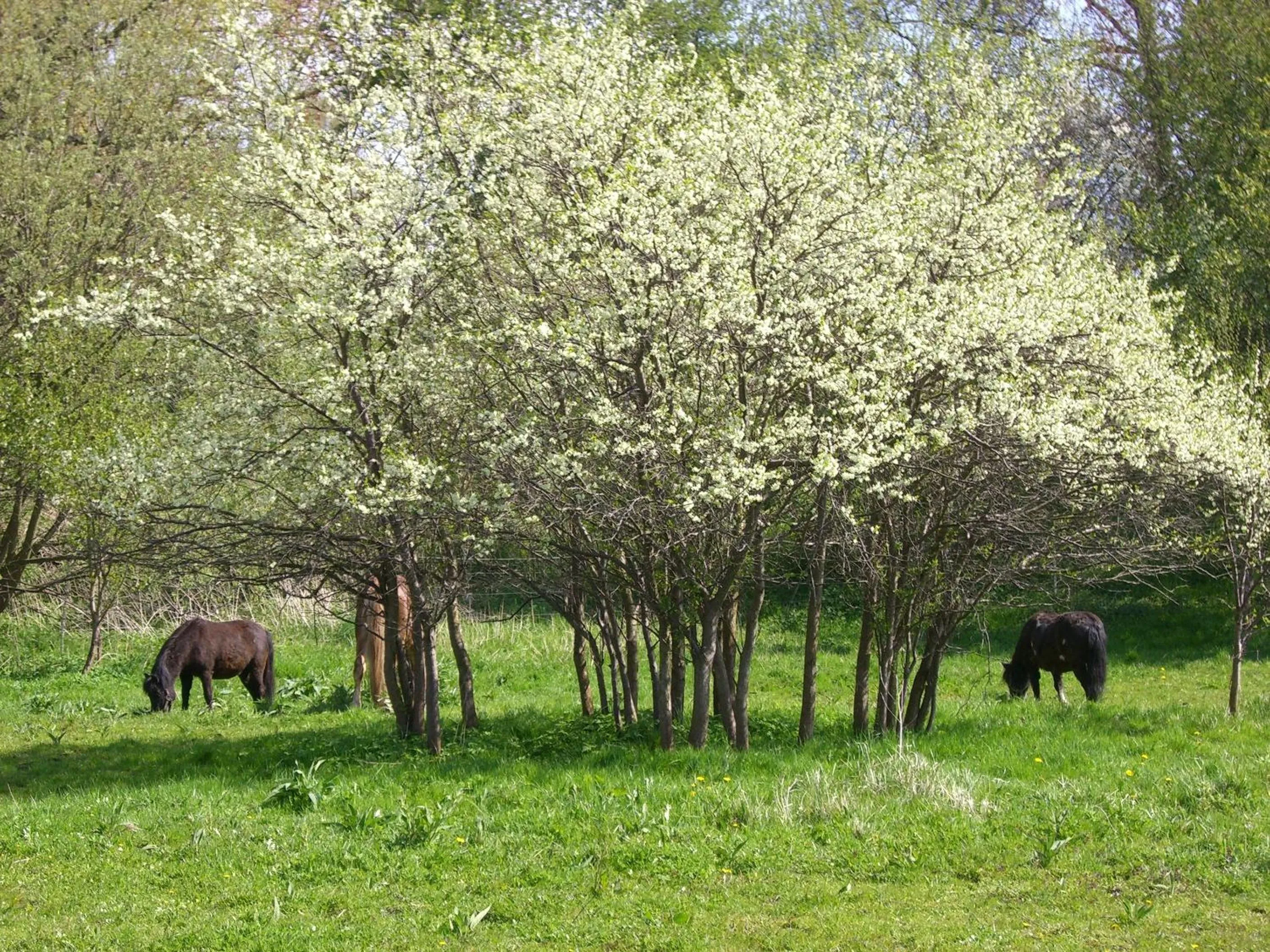 Stadtwohnung
