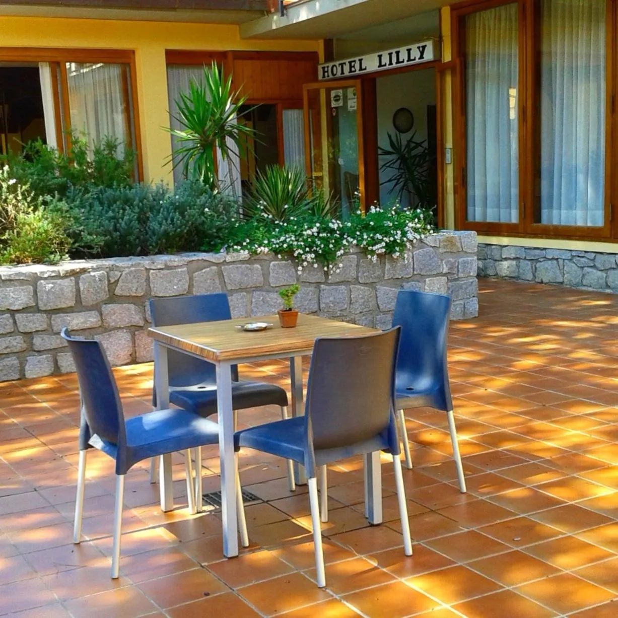 Garden in Hotel Lilly