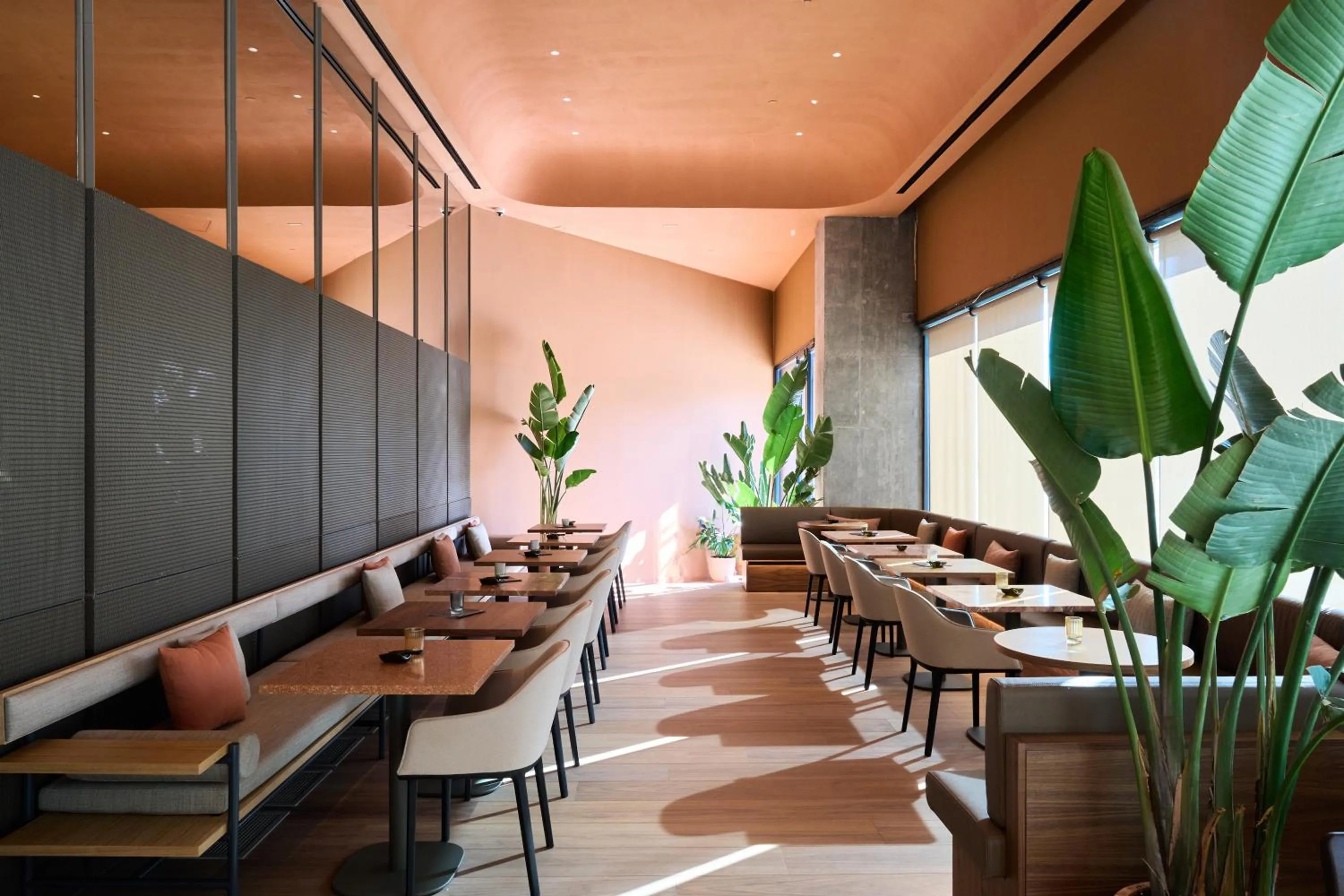 Restaurant/places to eat in Barcelona Princess